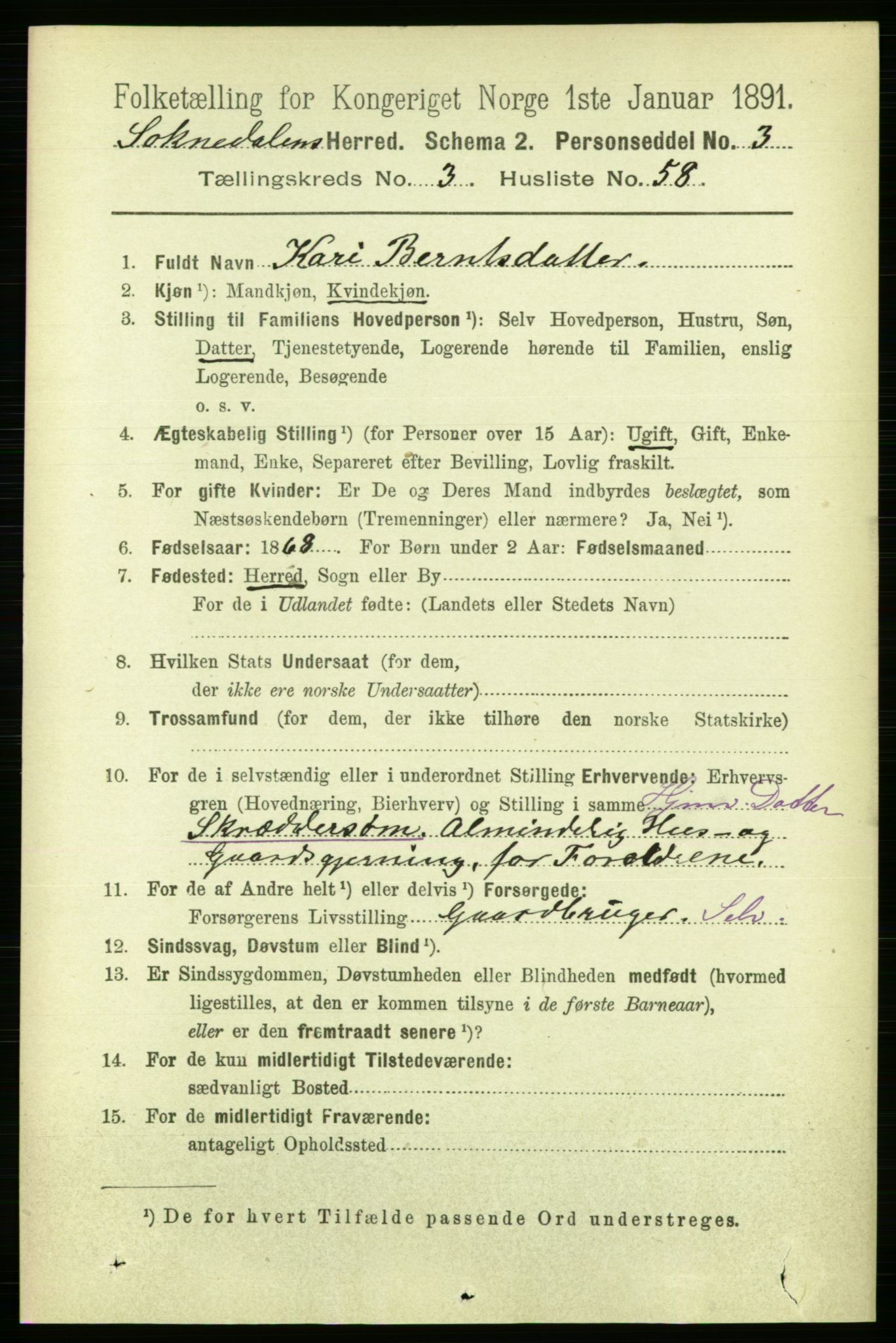 RA, 1891 census for 1649 Soknedal, 1891, p. 1518