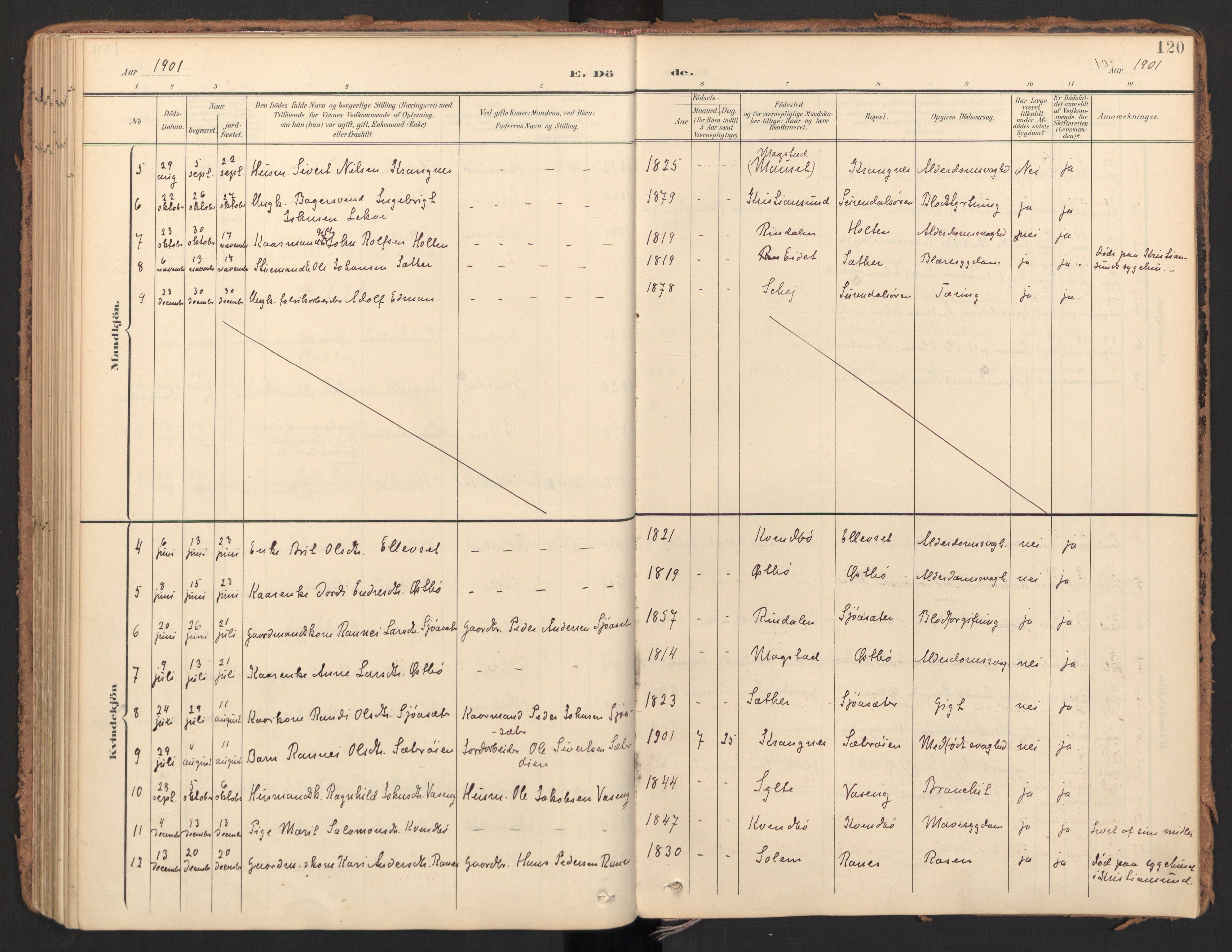 Ministerialprotokoller, klokkerbøker og fødselsregistre - Møre og Romsdal, SAT/A-1454/596/L1057: Parish register (official) no. 596A02, 1900-1917, p. 120