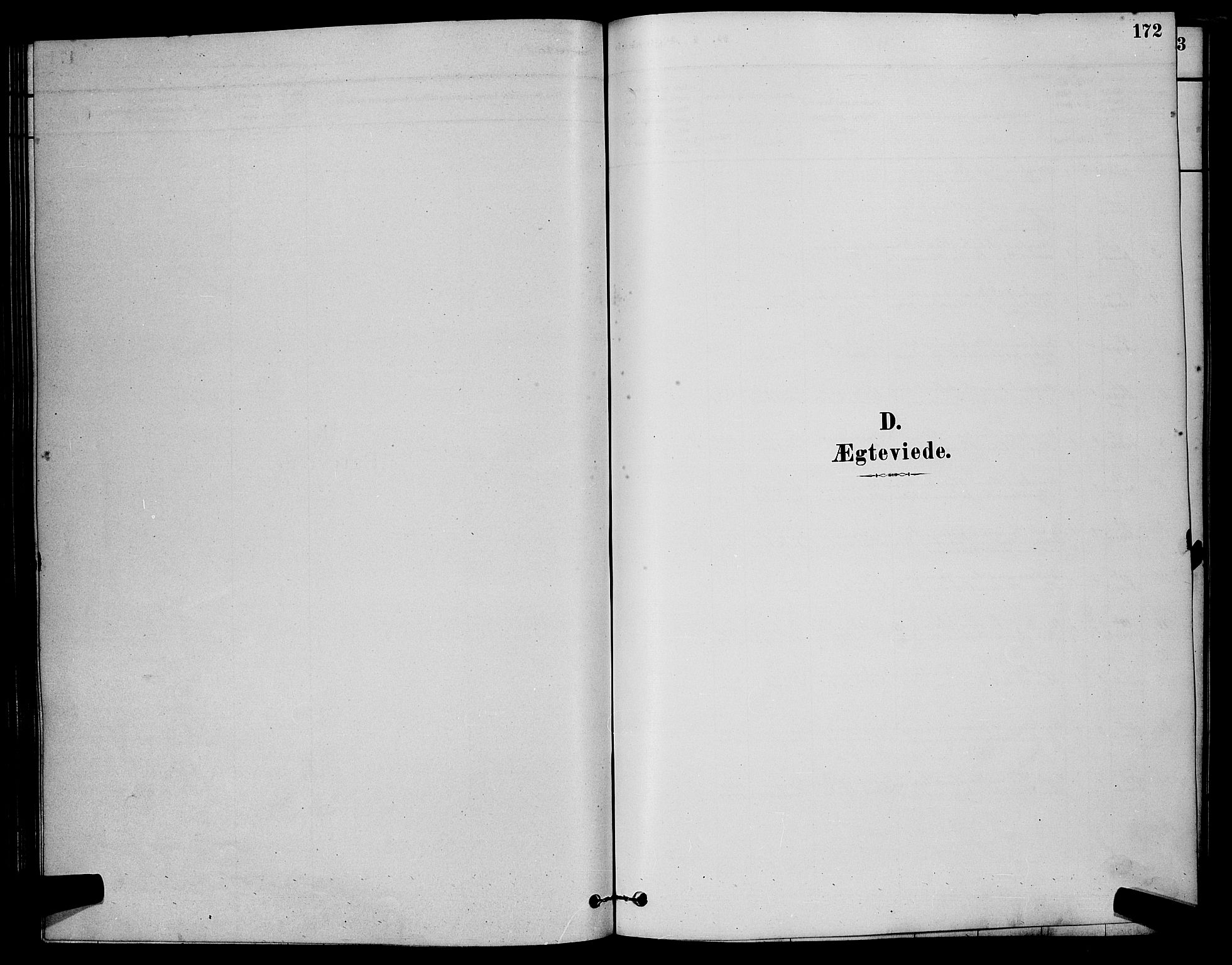 Østre Fredrikstad prestekontor Kirkebøker, AV/SAO-A-10907/G/Ga/L0001: Parish register (copy) no. 1, 1880-1899, p. 172
