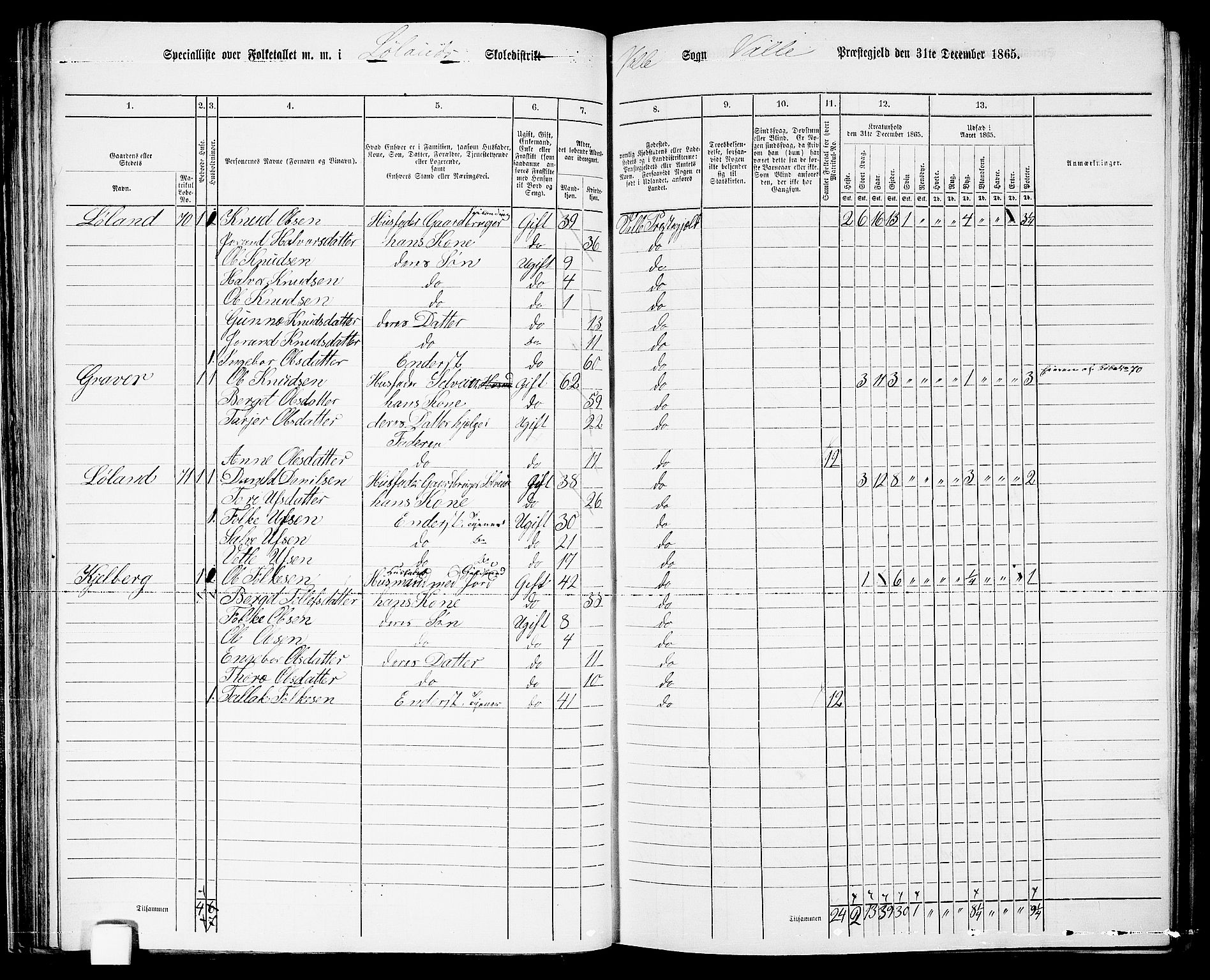 RA, 1865 census for Valle, 1865, p. 69