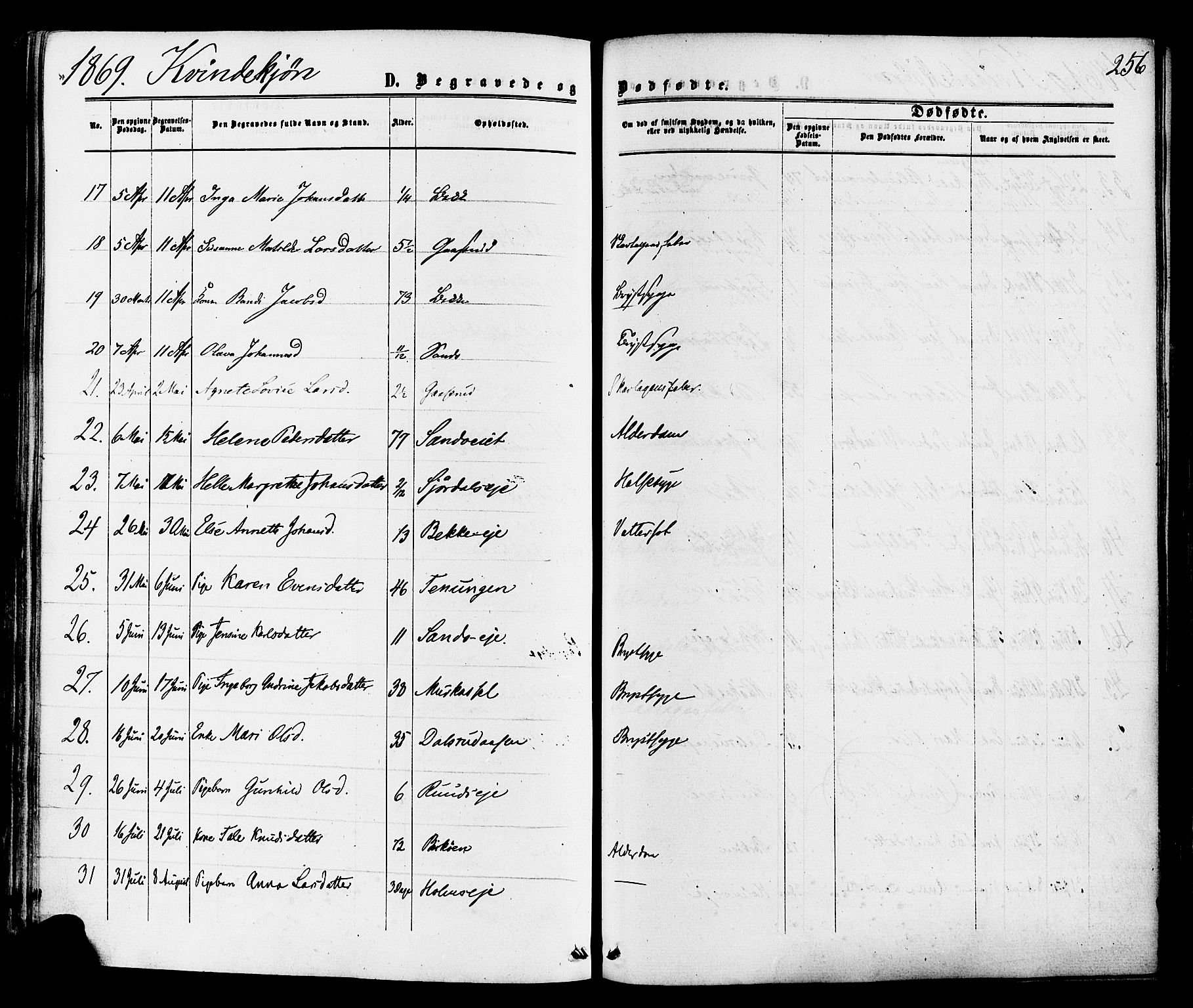 Sande Kirkebøker, SAKO/A-53/F/Fa/L0005: Parish register (official) no. 5, 1865-1877, p. 256