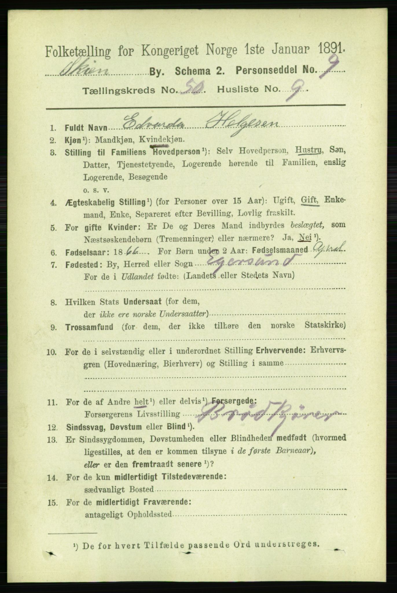 RA, 1891 census for 0806 Skien, 1891, p. 10837