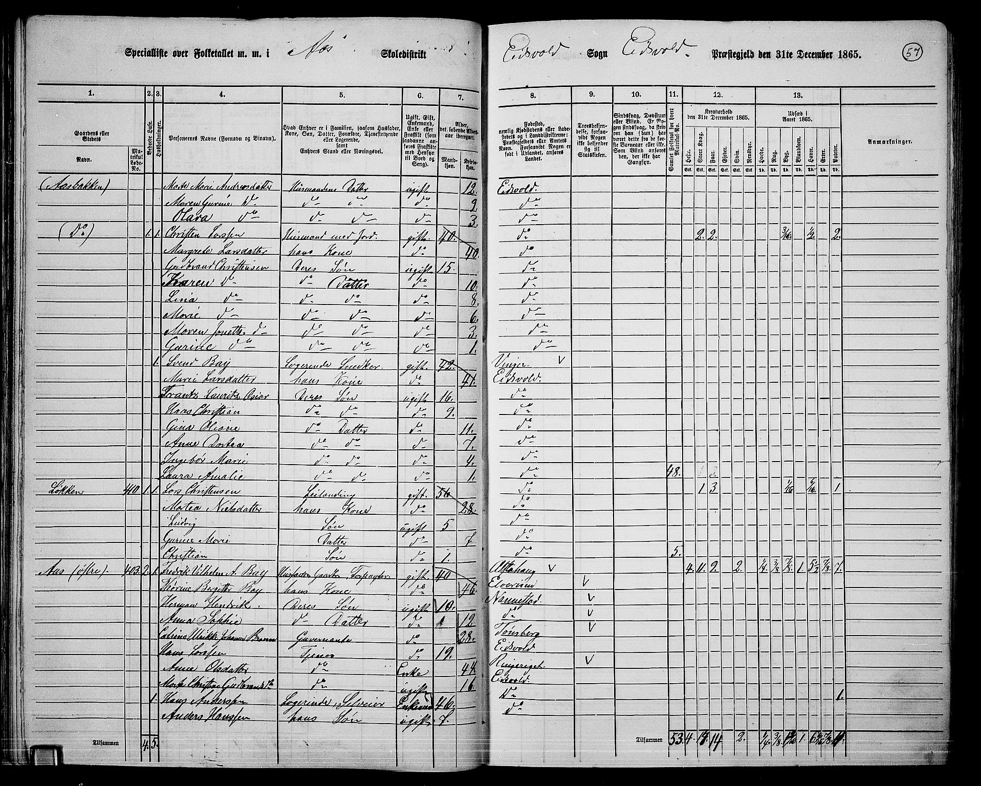 RA, 1865 census for Eidsvoll, 1865, p. 50