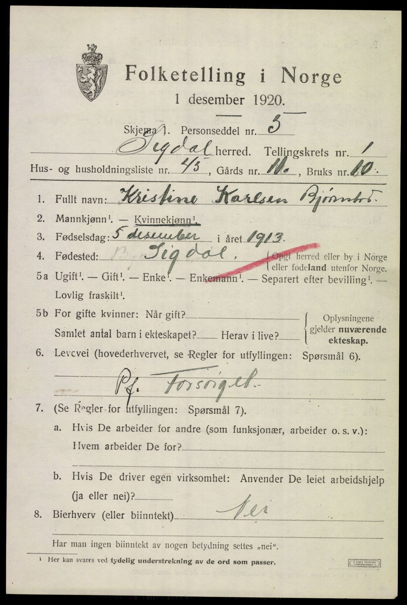 SAKO, 1920 census for Sigdal, 1920, p. 1960