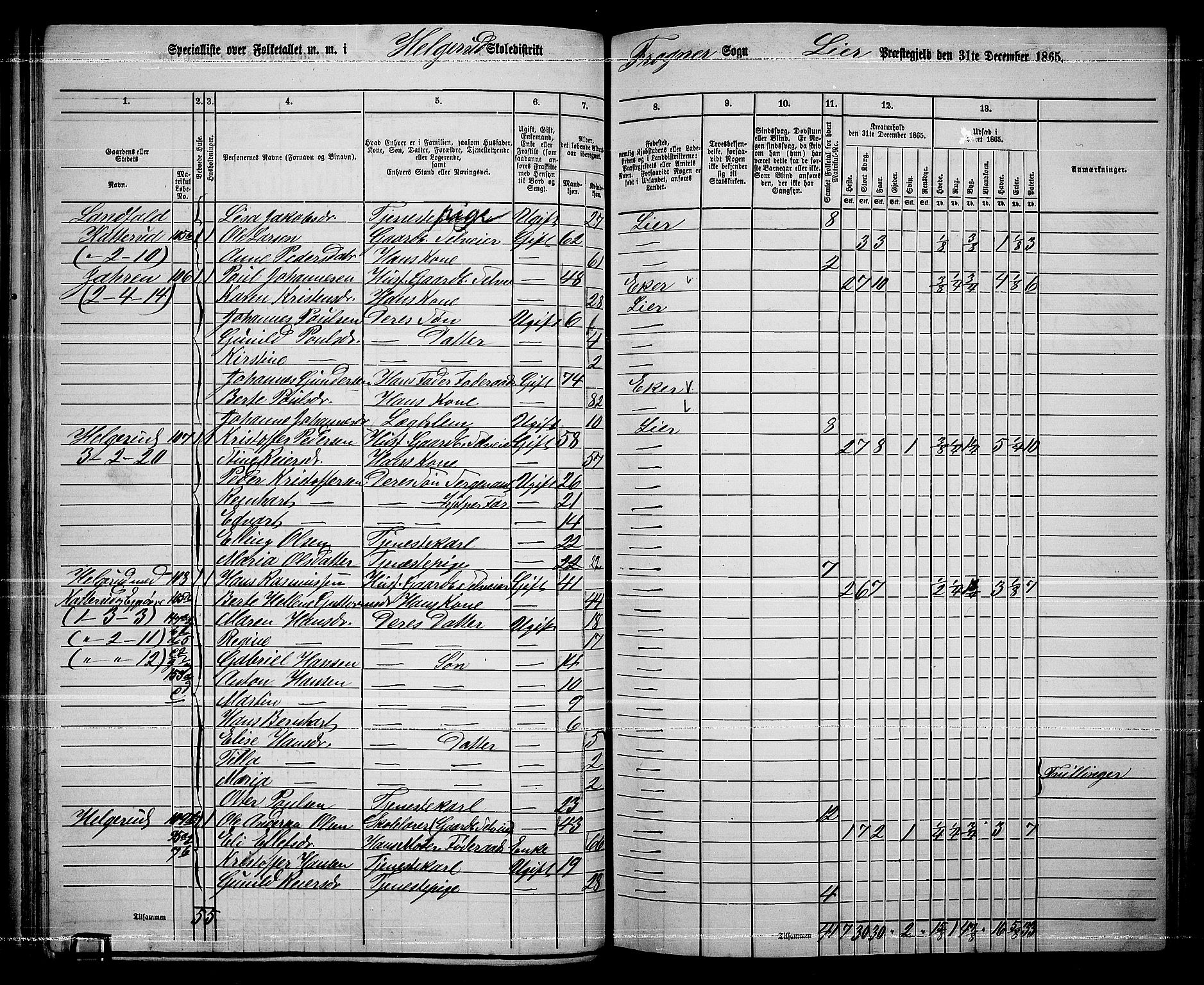 RA, 1865 census for Lier, 1865, p. 71