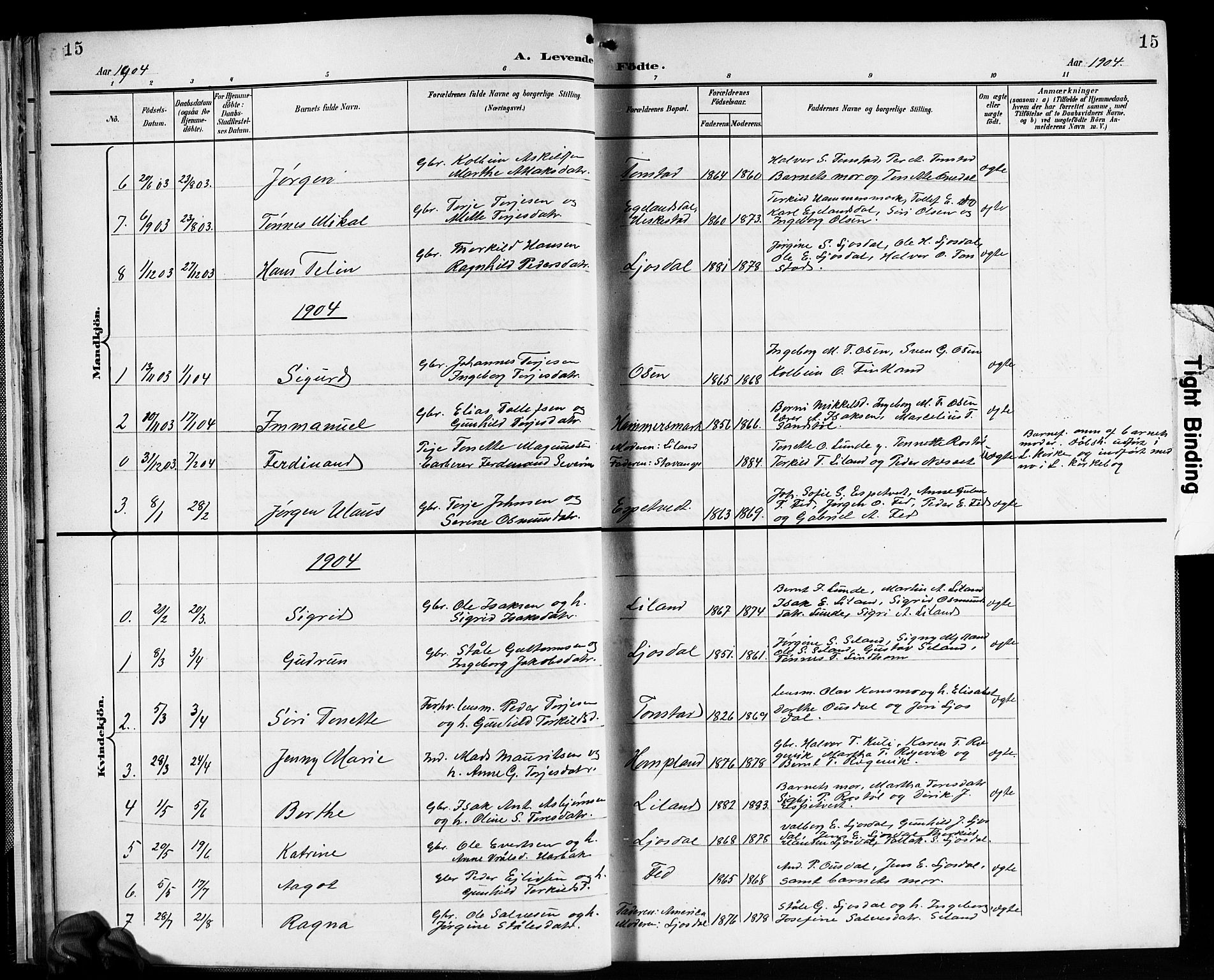 Sirdal sokneprestkontor, AV/SAK-1111-0036/F/Fb/Fbb/L0004: Parish register (copy) no. B 4, 1895-1916, p. 15