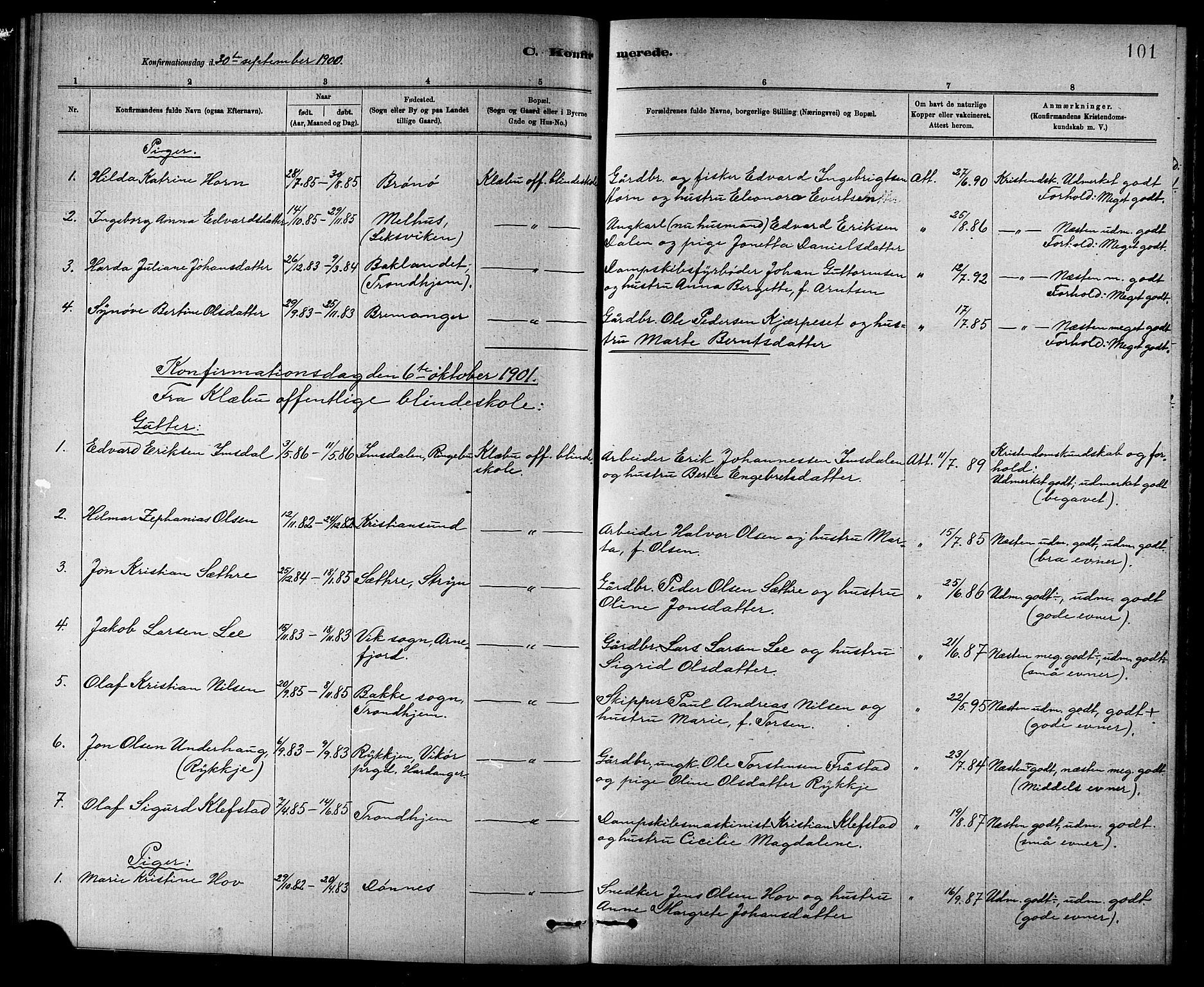 Ministerialprotokoller, klokkerbøker og fødselsregistre - Sør-Trøndelag, SAT/A-1456/618/L0452: Parish register (copy) no. 618C03, 1884-1906, p. 101
