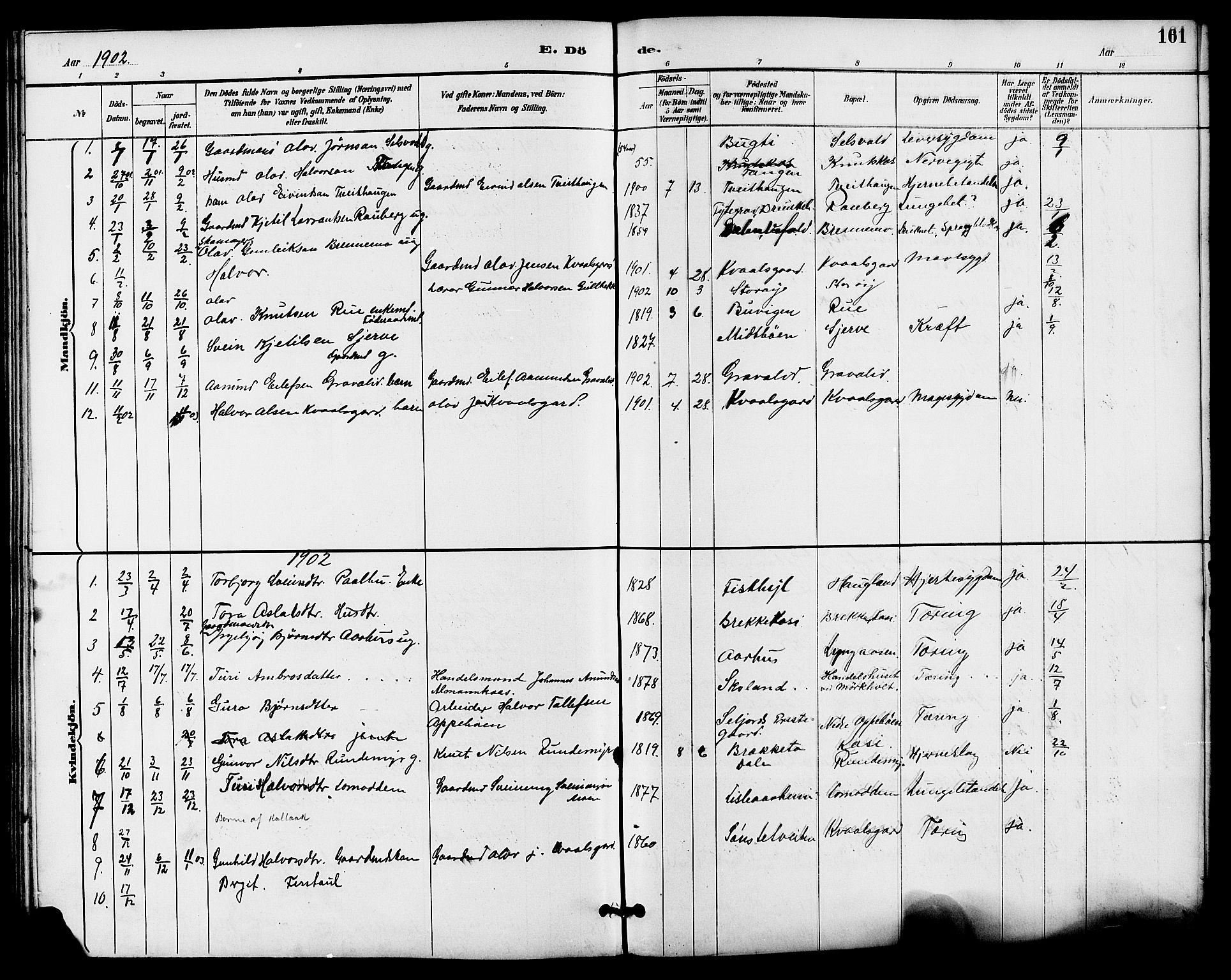 Seljord kirkebøker, SAKO/A-20/G/Ga/L0005: Parish register (copy) no. I 5, 1887-1914, p. 161