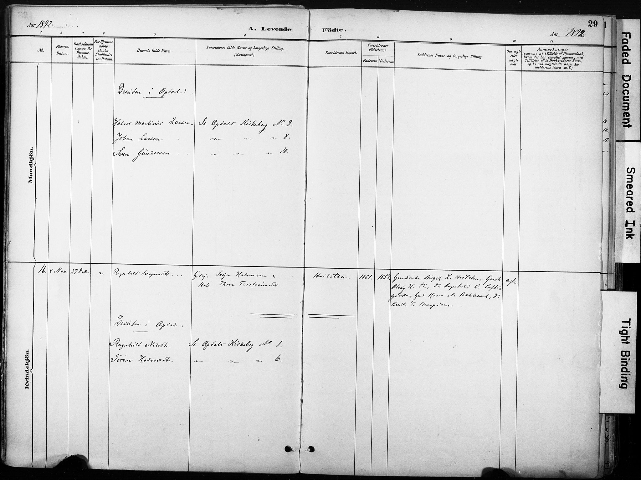 Nore kirkebøker, AV/SAKO-A-238/F/Fb/L0002: Parish register (official) no. II 2, 1886-1906, p. 29