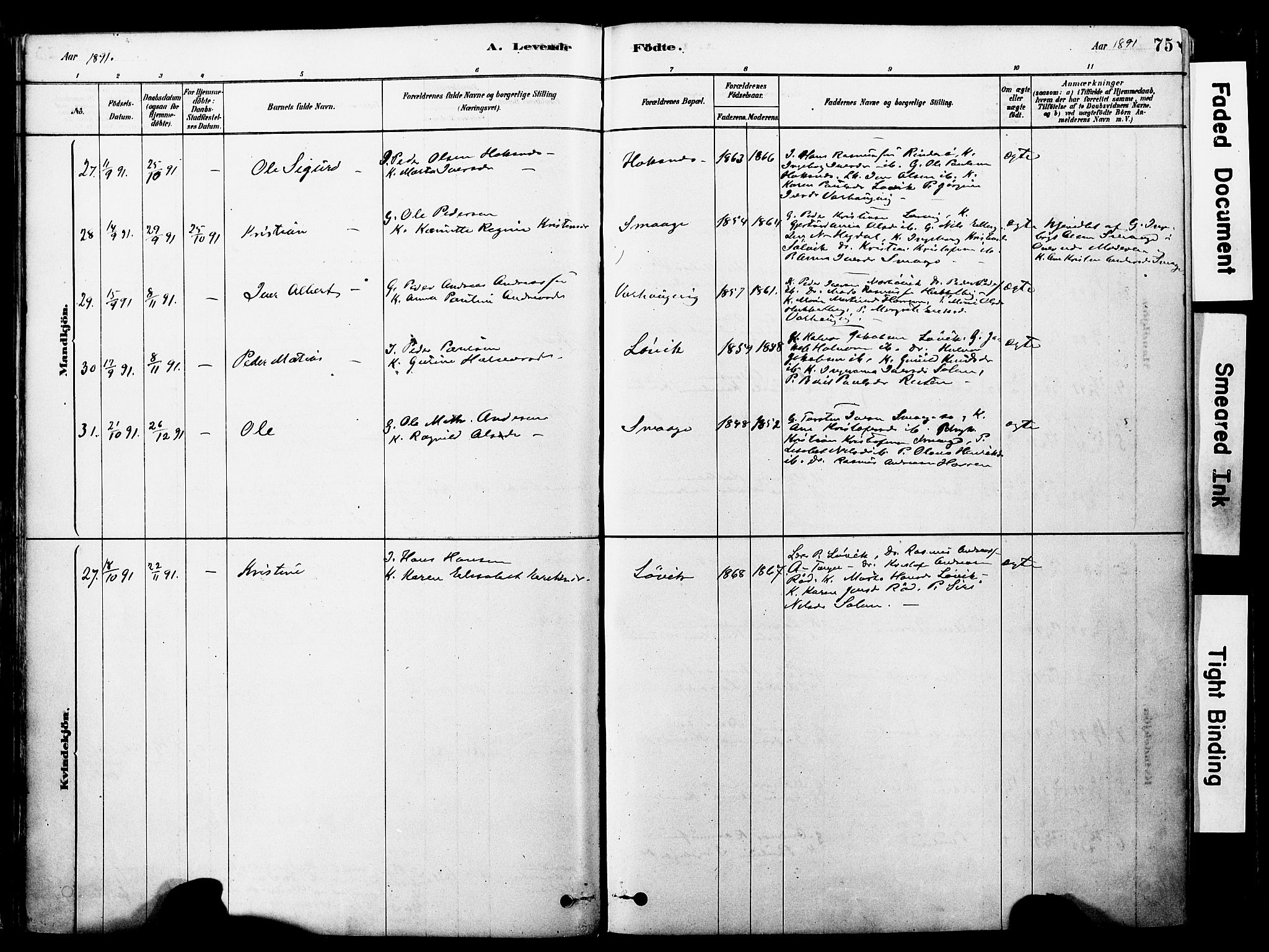 Ministerialprotokoller, klokkerbøker og fødselsregistre - Møre og Romsdal, SAT/A-1454/560/L0721: Parish register (official) no. 560A05, 1878-1917, p. 75