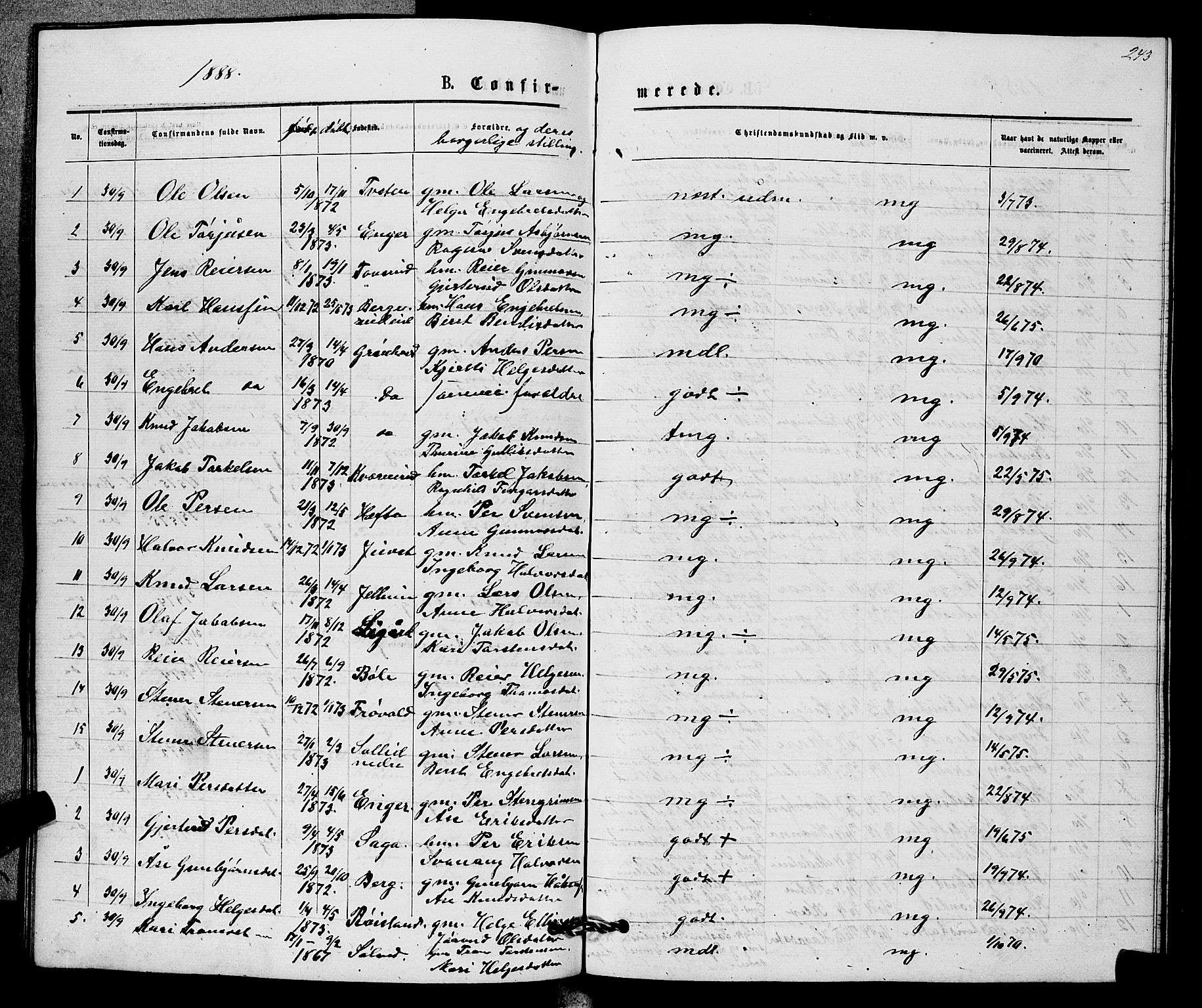 Sigdal kirkebøker, AV/SAKO-A-245/G/Gb/L0002: Parish register (copy) no. II 2, 1875-1900, p. 243