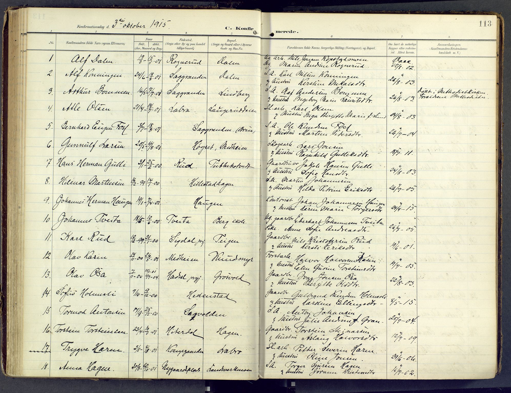 Sandsvær kirkebøker, SAKO/A-244/F/Fd/L0002: Parish register (official) no. IV 2, 1906-1943, p. 113