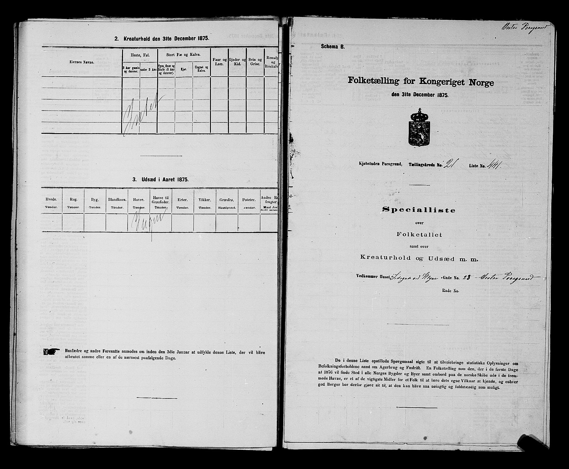 SAKO, 1875 census for 0805P Porsgrunn, 1875, p. 989