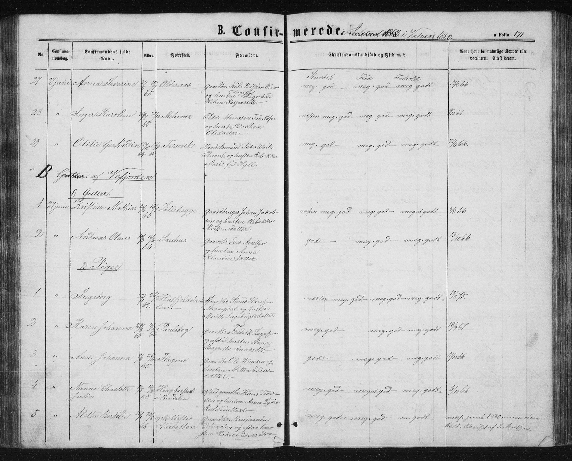 Ministerialprotokoller, klokkerbøker og fødselsregistre - Nordland, AV/SAT-A-1459/810/L0158: Parish register (copy) no. 810C02 /1, 1863-1883, p. 171