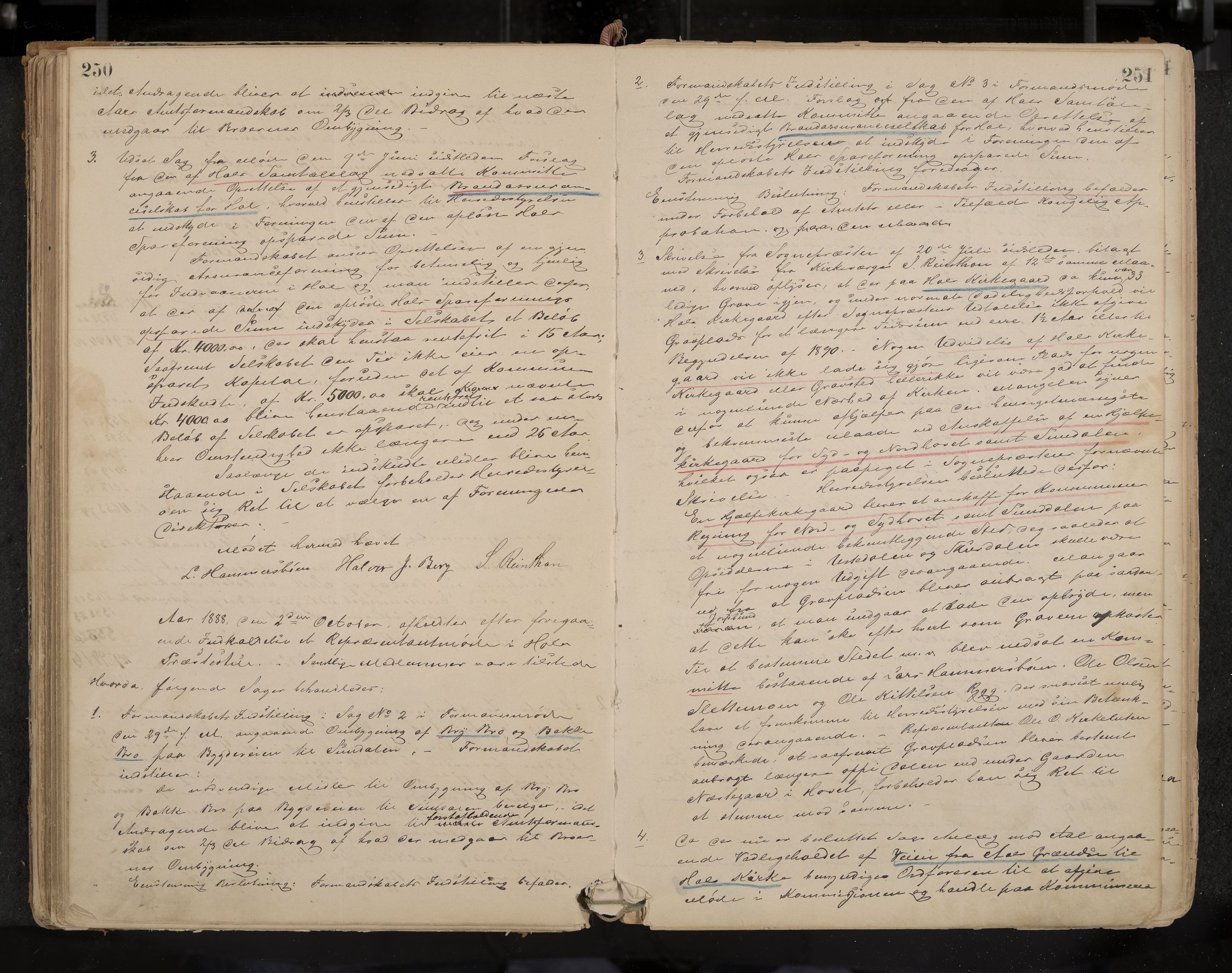 Hol formannskap og sentraladministrasjon, IKAK/0620021-1/A/L0001: Møtebok, 1877-1893, p. 250-251