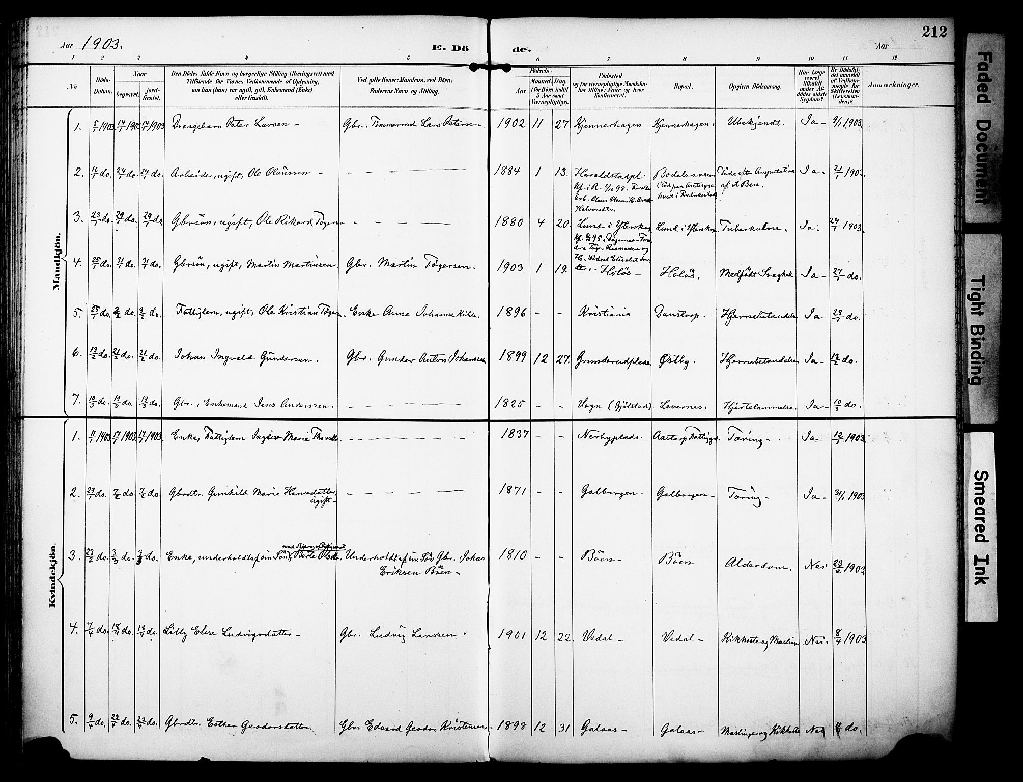 Rakkestad prestekontor Kirkebøker, AV/SAO-A-2008/F/Fa/L0013: Parish register (official) no. I 13, 1894-1908, p. 212