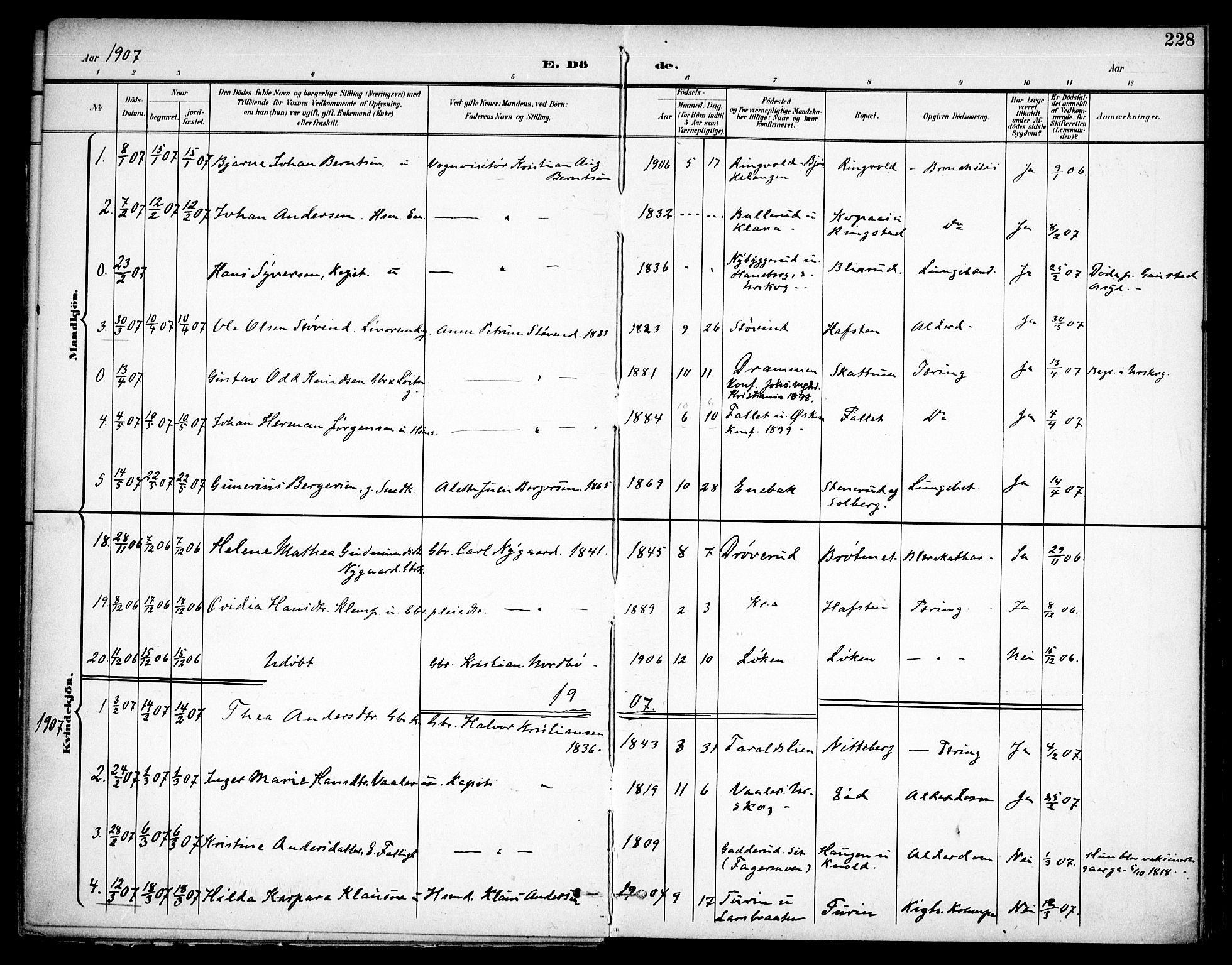 Høland prestekontor Kirkebøker, SAO/A-10346a/F/Fa/L0015: Parish register (official) no. I 15, 1897-1912, p. 228