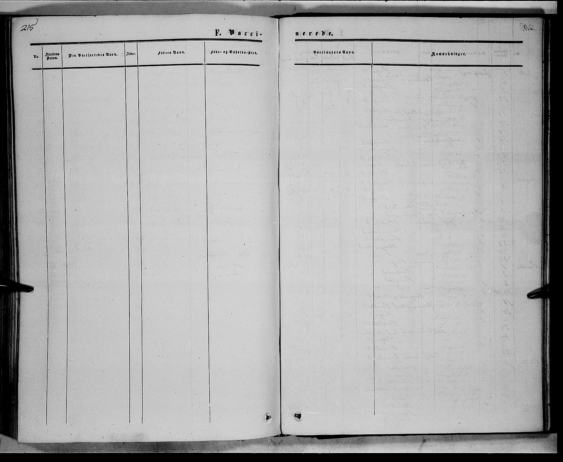 Sør-Aurdal prestekontor, AV/SAH-PREST-128/H/Ha/Haa/L0007: Parish register (official) no. 7, 1849-1876, p. 215