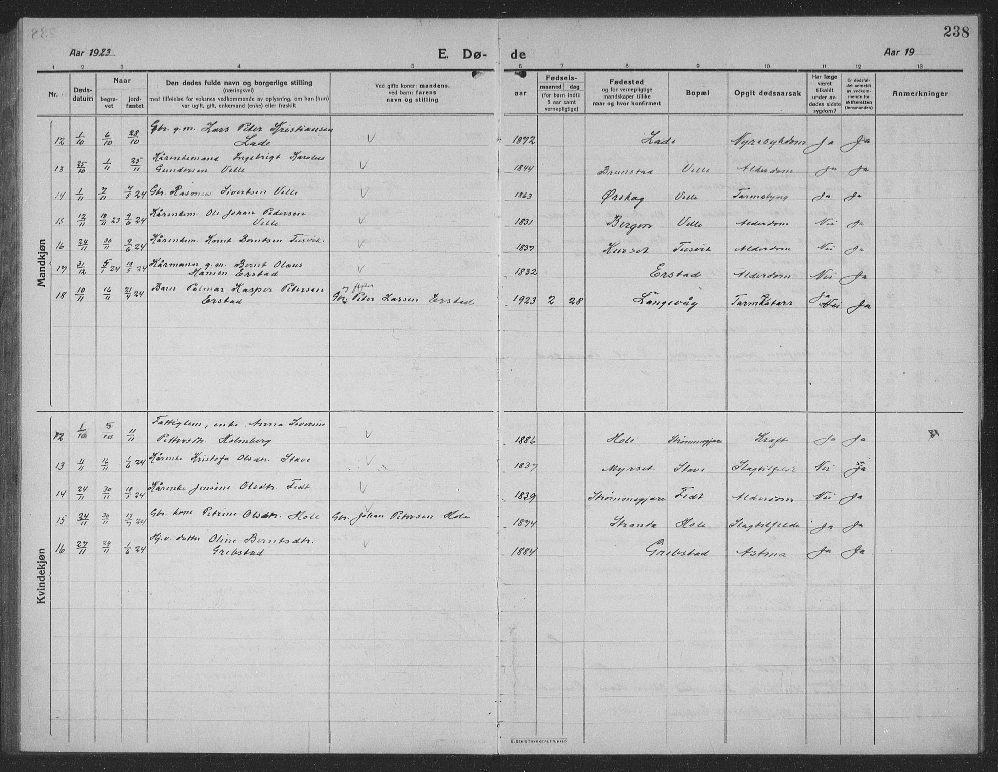 Ministerialprotokoller, klokkerbøker og fødselsregistre - Møre og Romsdal, AV/SAT-A-1454/523/L0342: Parish register (copy) no. 523C05, 1916-1937, p. 238