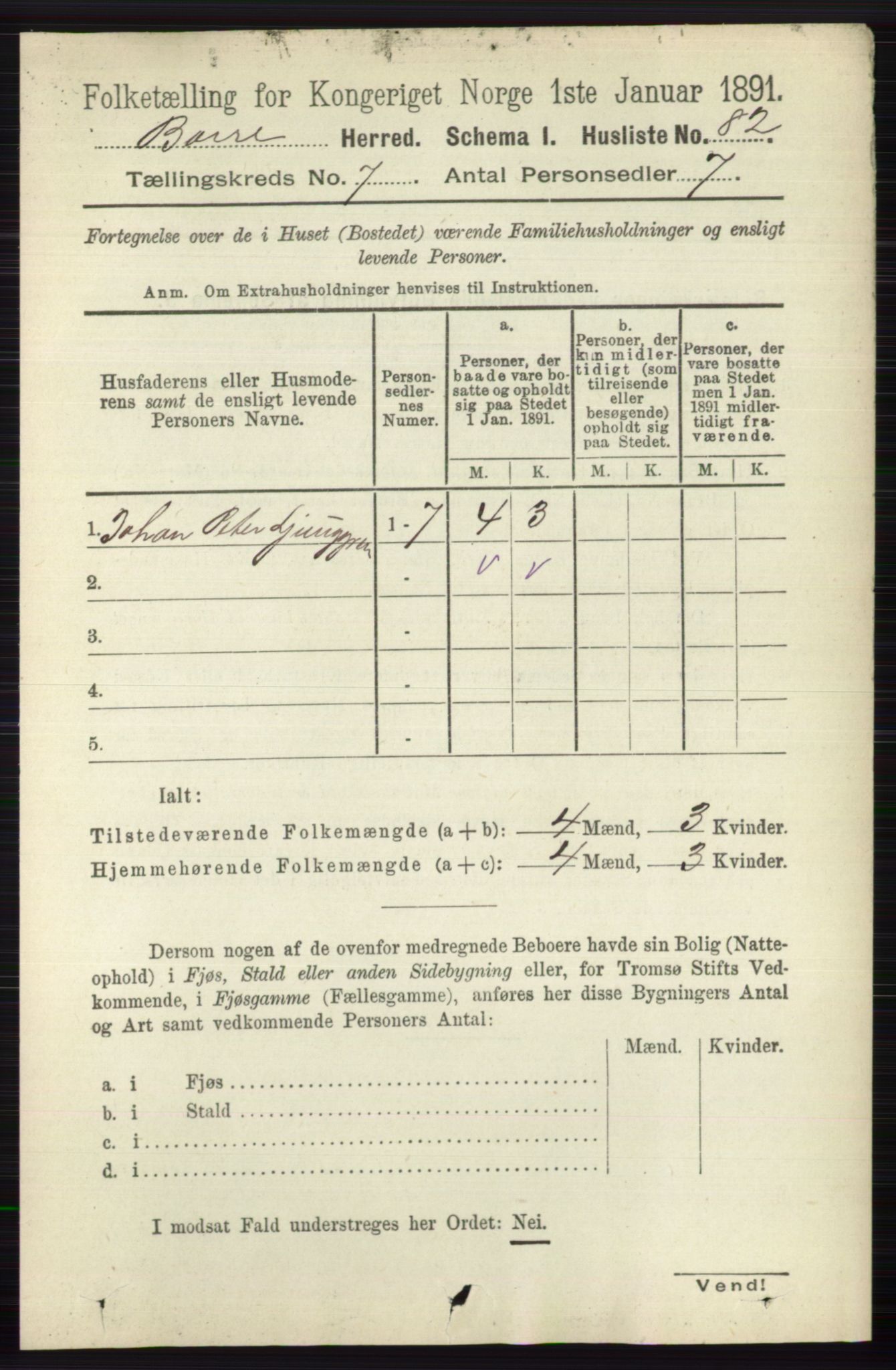 RA, 1891 census for 0717 Borre, 1891, p. 3218