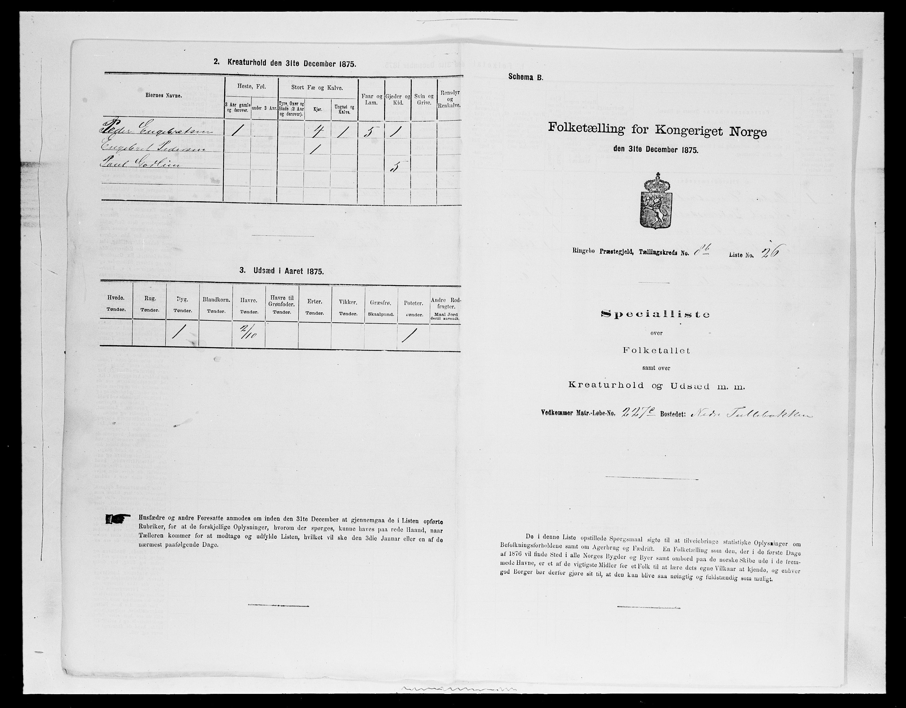 SAH, 1875 census for 0520P Ringebu, 1875, p. 1322