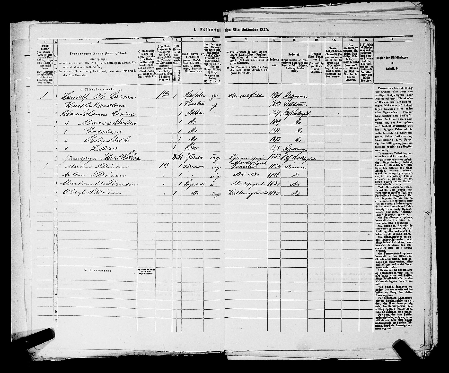 SAKO, 1875 census for 0602 Drammen, 1875, p. 809