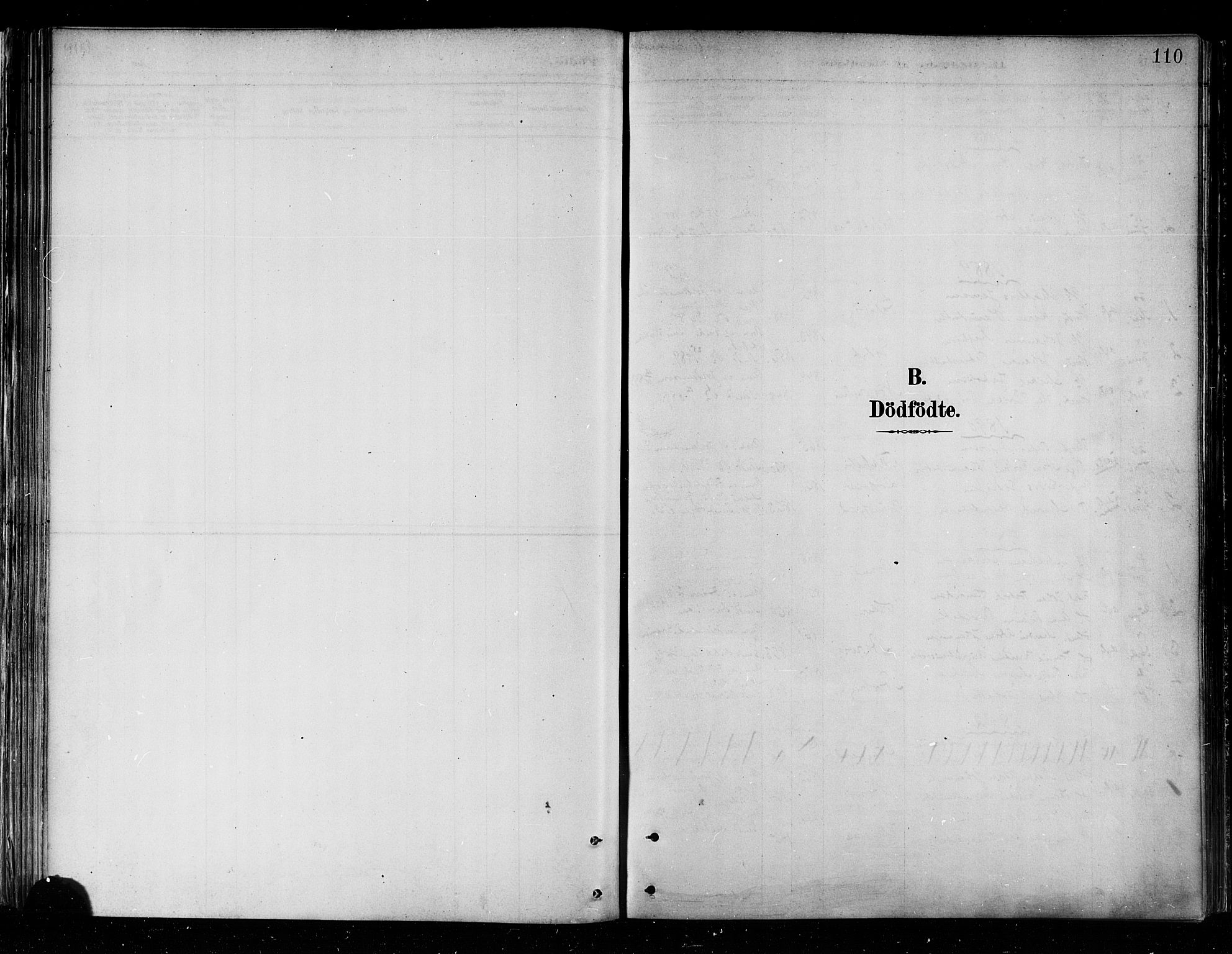 Skjervøy sokneprestkontor, AV/SATØ-S-1300/H/Ha/Haa/L0010kirke: Parish register (official) no. 10, 1887-1898, p. 110