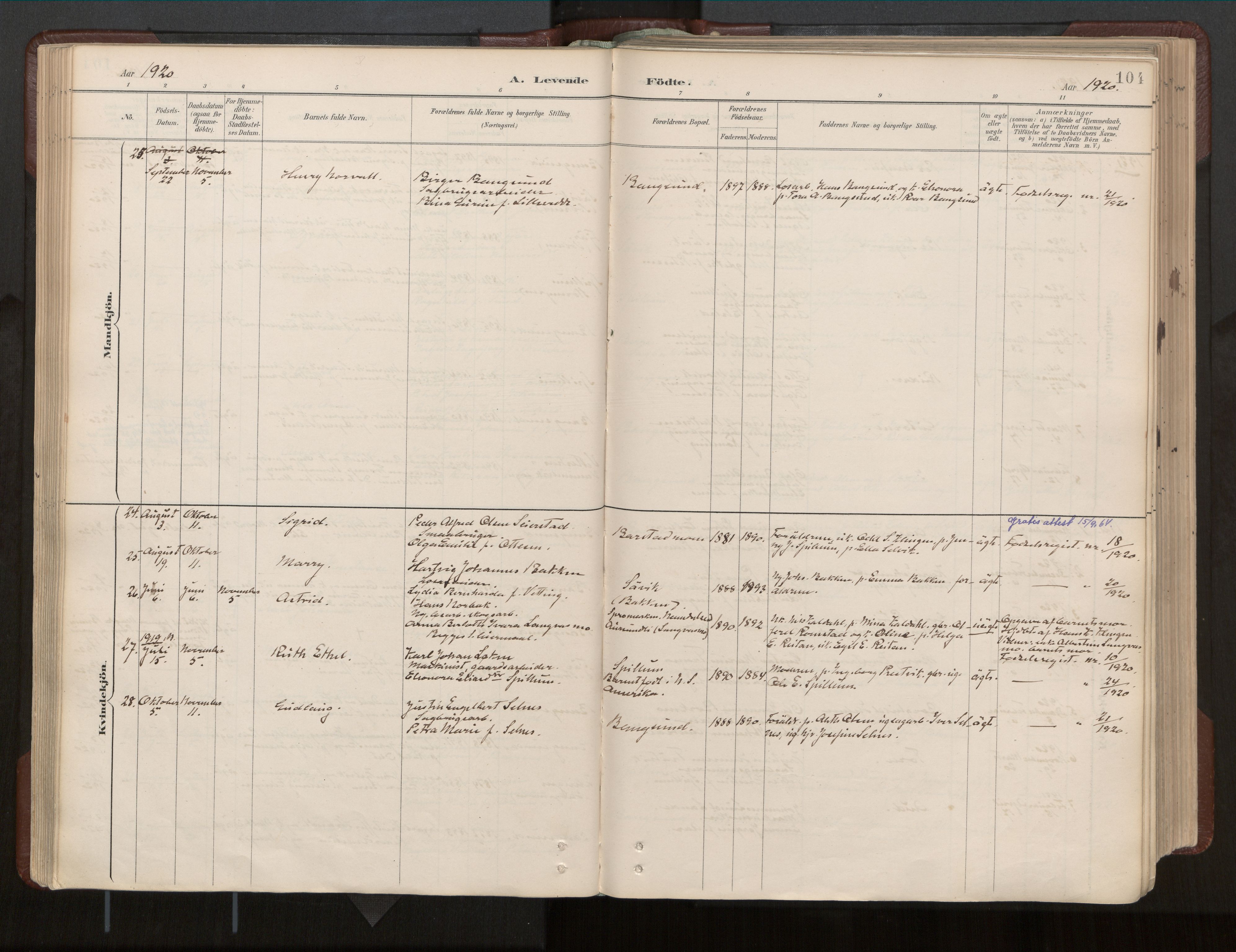 Ministerialprotokoller, klokkerbøker og fødselsregistre - Nord-Trøndelag, SAT/A-1458/770/L0589: Parish register (official) no. 770A03, 1887-1929, p. 104