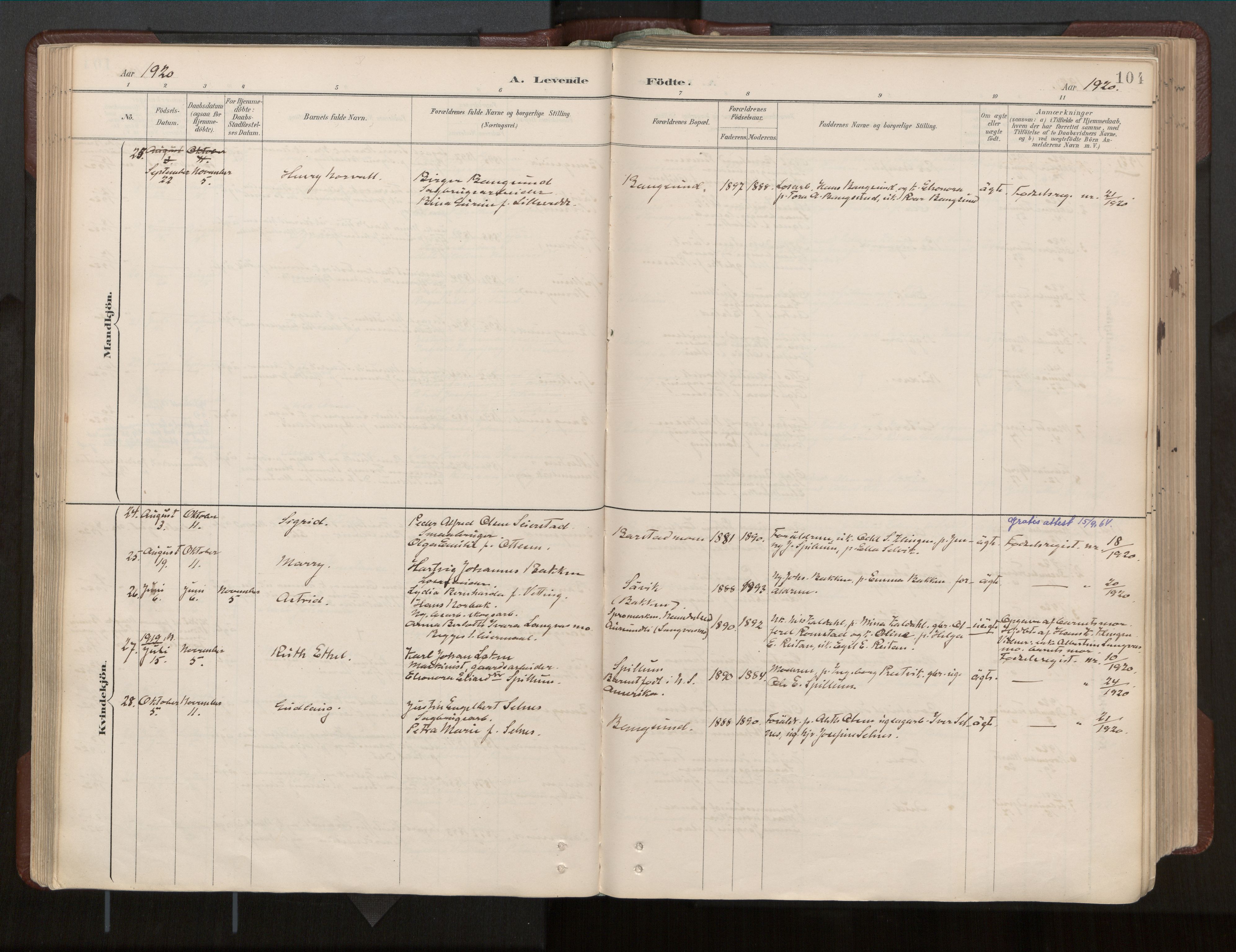 Ministerialprotokoller, klokkerbøker og fødselsregistre - Nord-Trøndelag, AV/SAT-A-1458/770/L0589: Parish register (official) no. 770A03, 1887-1929, p. 104