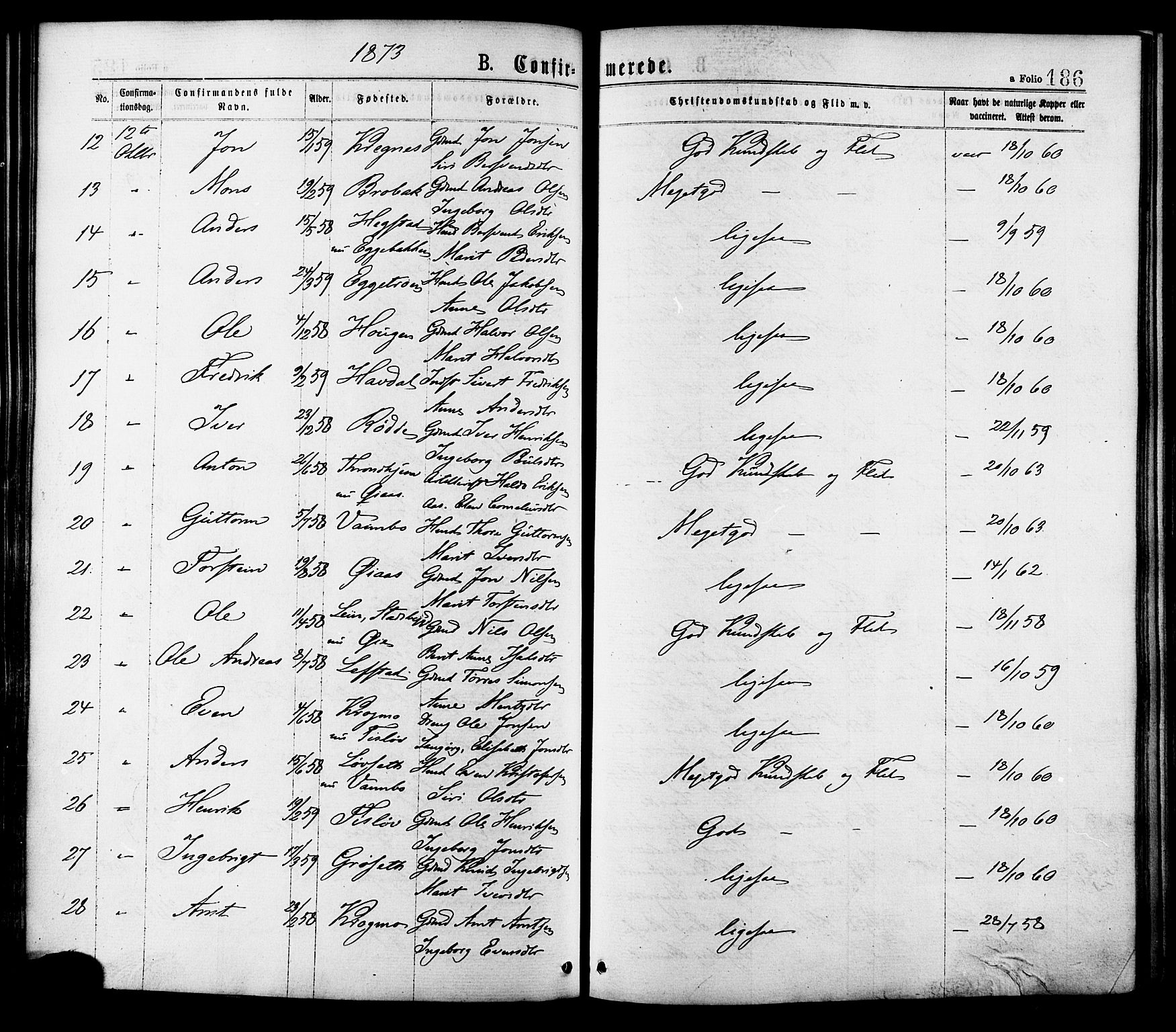 Ministerialprotokoller, klokkerbøker og fødselsregistre - Sør-Trøndelag, AV/SAT-A-1456/691/L1079: Parish register (official) no. 691A11, 1873-1886, p. 186