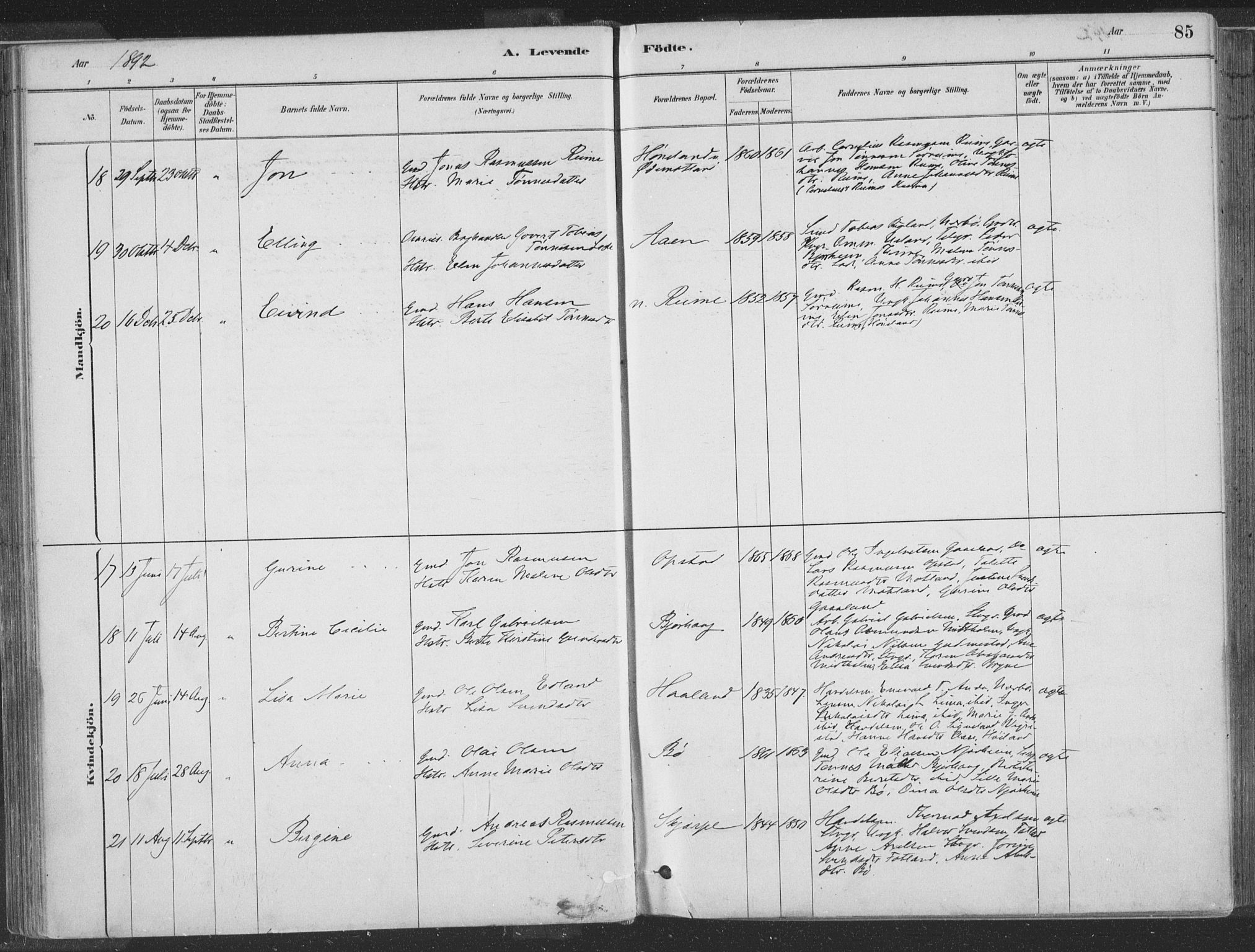 Hå sokneprestkontor, AV/SAST-A-101801/001/30BA/L0010: Parish register (official) no. A 9, 1879-1896, p. 85