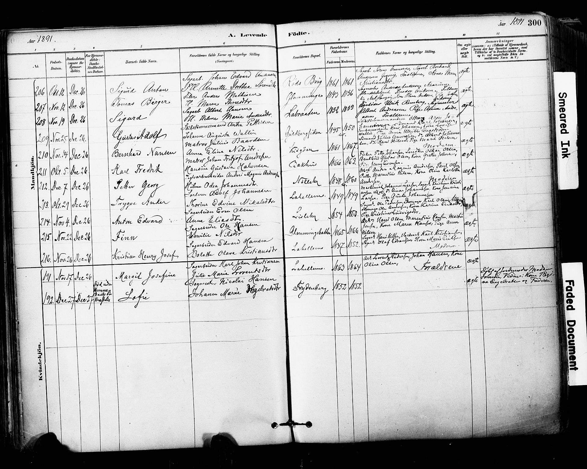 Glemmen prestekontor Kirkebøker, AV/SAO-A-10908/F/Fa/L0011: Parish register (official) no. 11, 1878-1917, p. 300