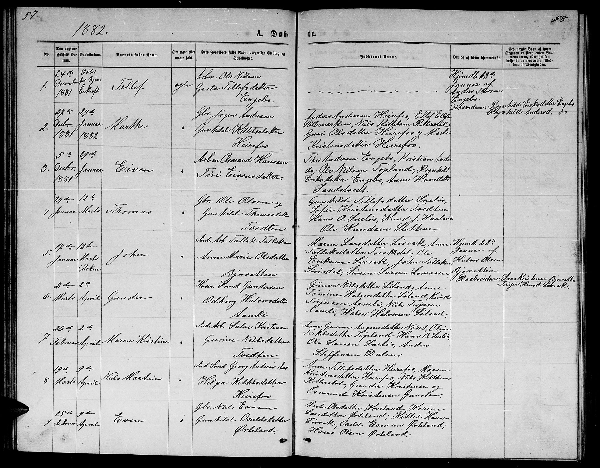 Herefoss sokneprestkontor, AV/SAK-1111-0019/F/Fb/Fba/L0002: Parish register (copy) no. B 2, 1868-1886, p. 57-58