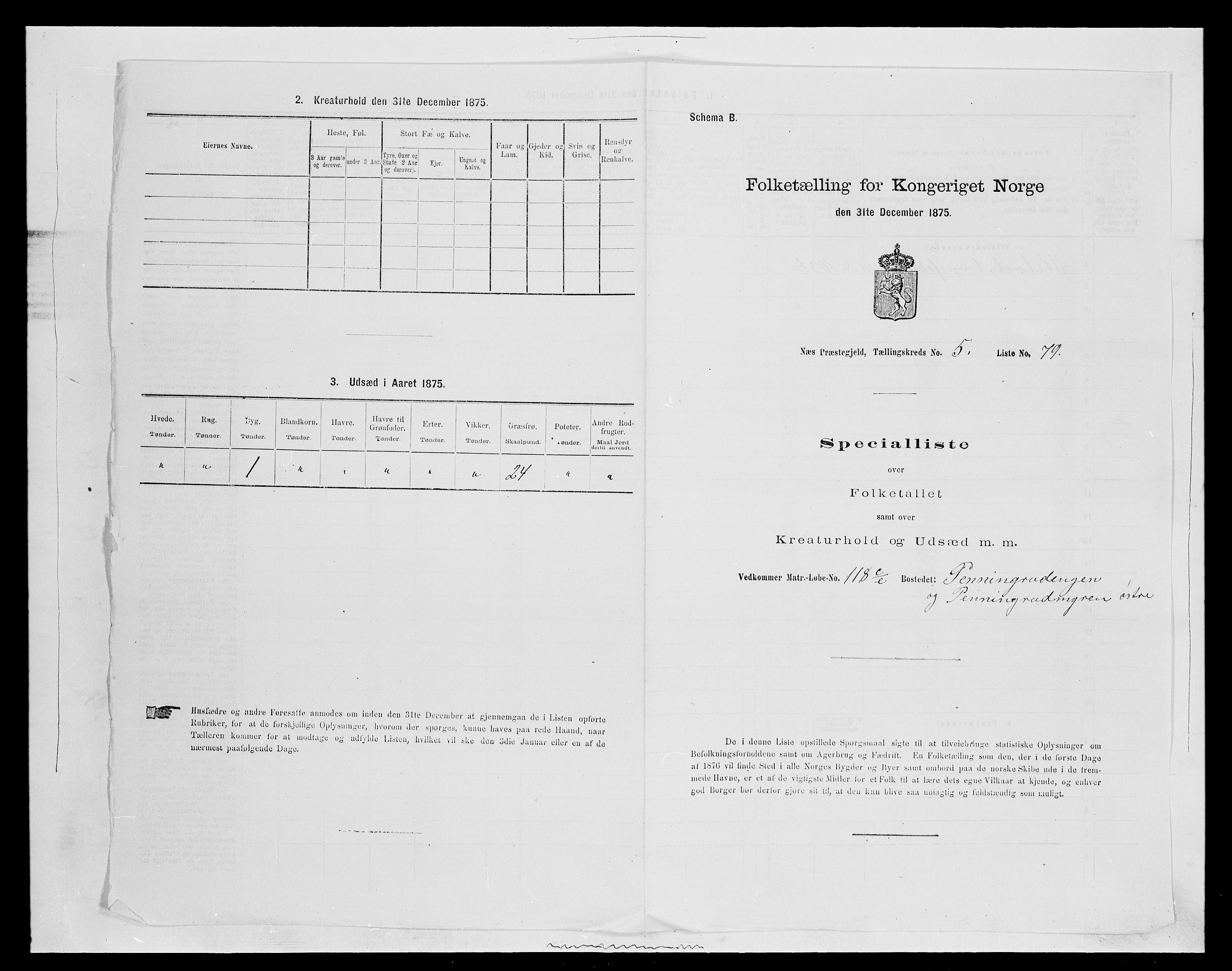 SAH, 1875 census for 0411P Nes, 1875, p. 943