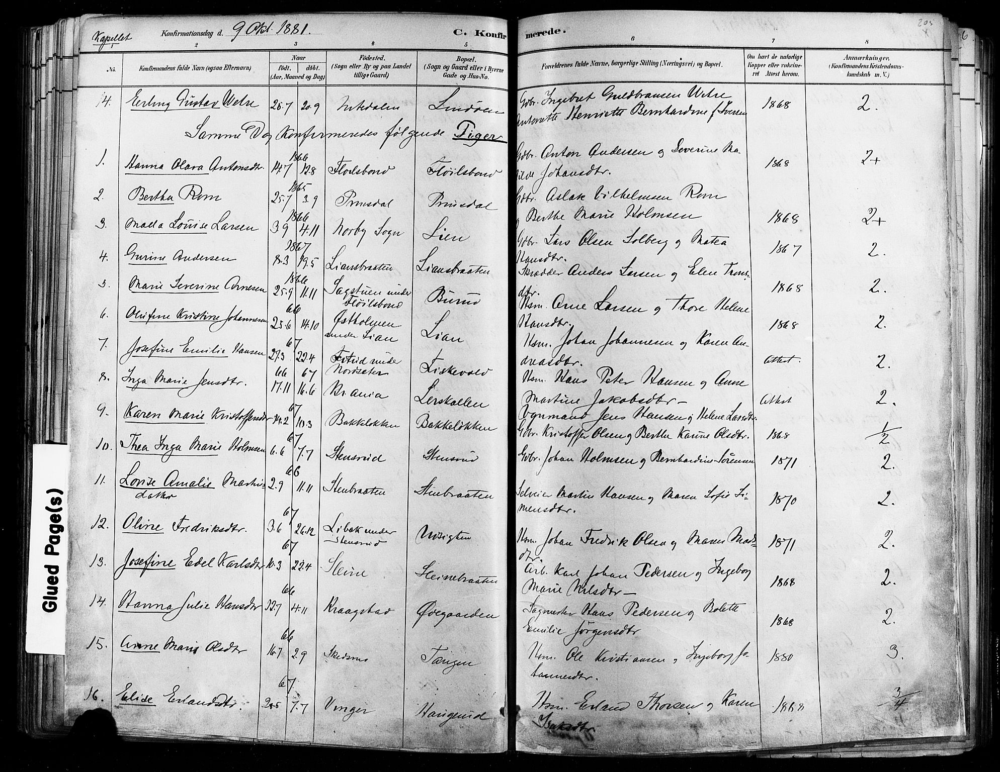 Østre Aker prestekontor Kirkebøker, AV/SAO-A-10840/F/Fa/L0006: Parish register (official) no. I 5, 1879-1882, p. 205d