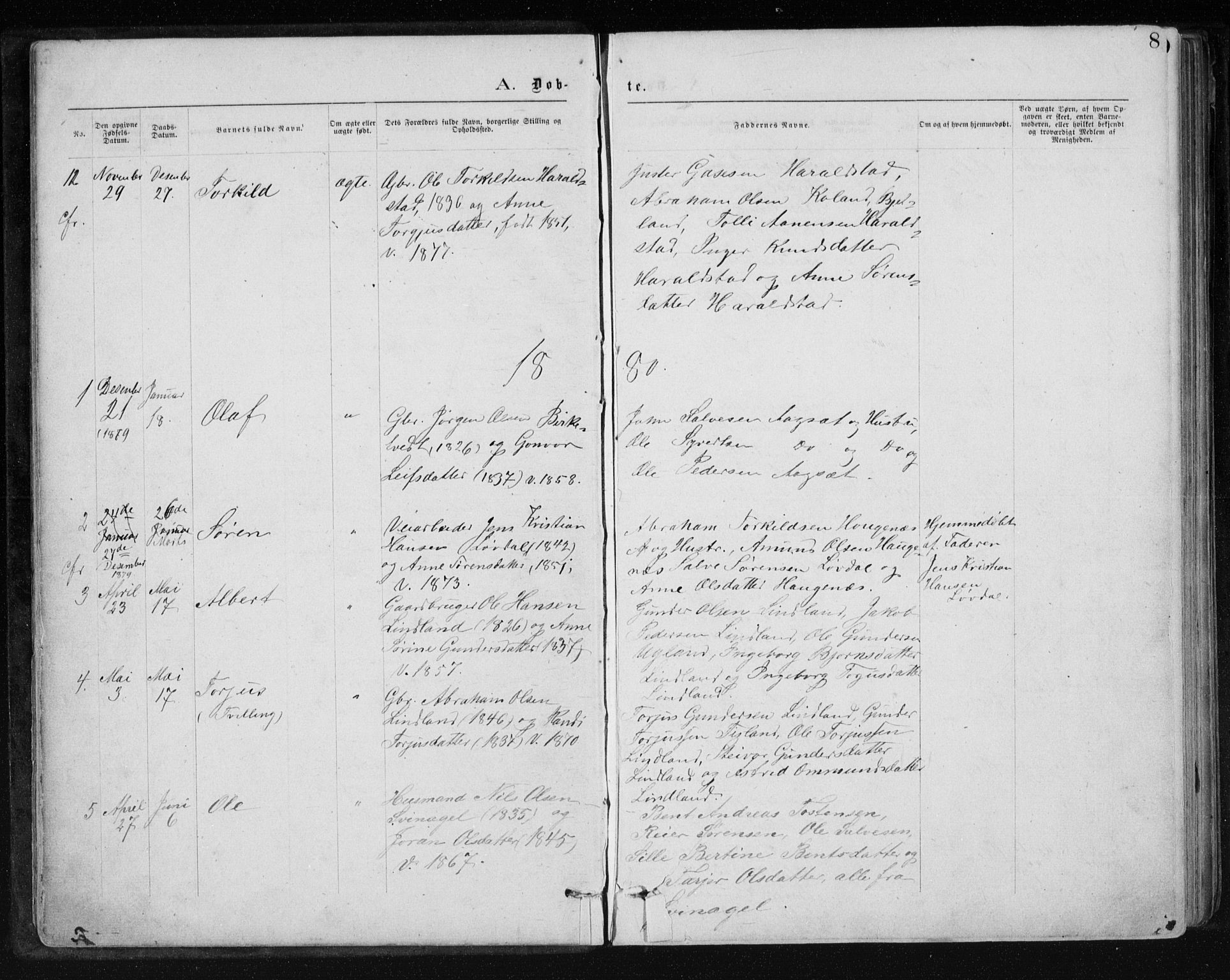 Holum sokneprestkontor, AV/SAK-1111-0022/F/Fb/Fbb/L0003: Parish register (copy) no. B 3, 1875-1898, p. 8