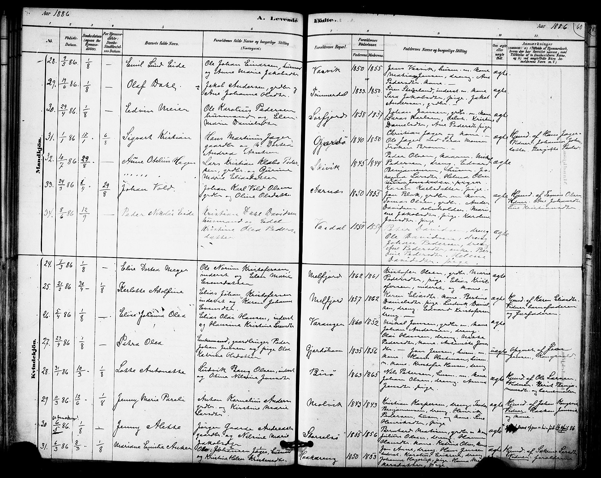 Ministerialprotokoller, klokkerbøker og fødselsregistre - Nordland, SAT/A-1459/841/L0609: Parish register (official) no. 841A12, 1878-1901, p. 60