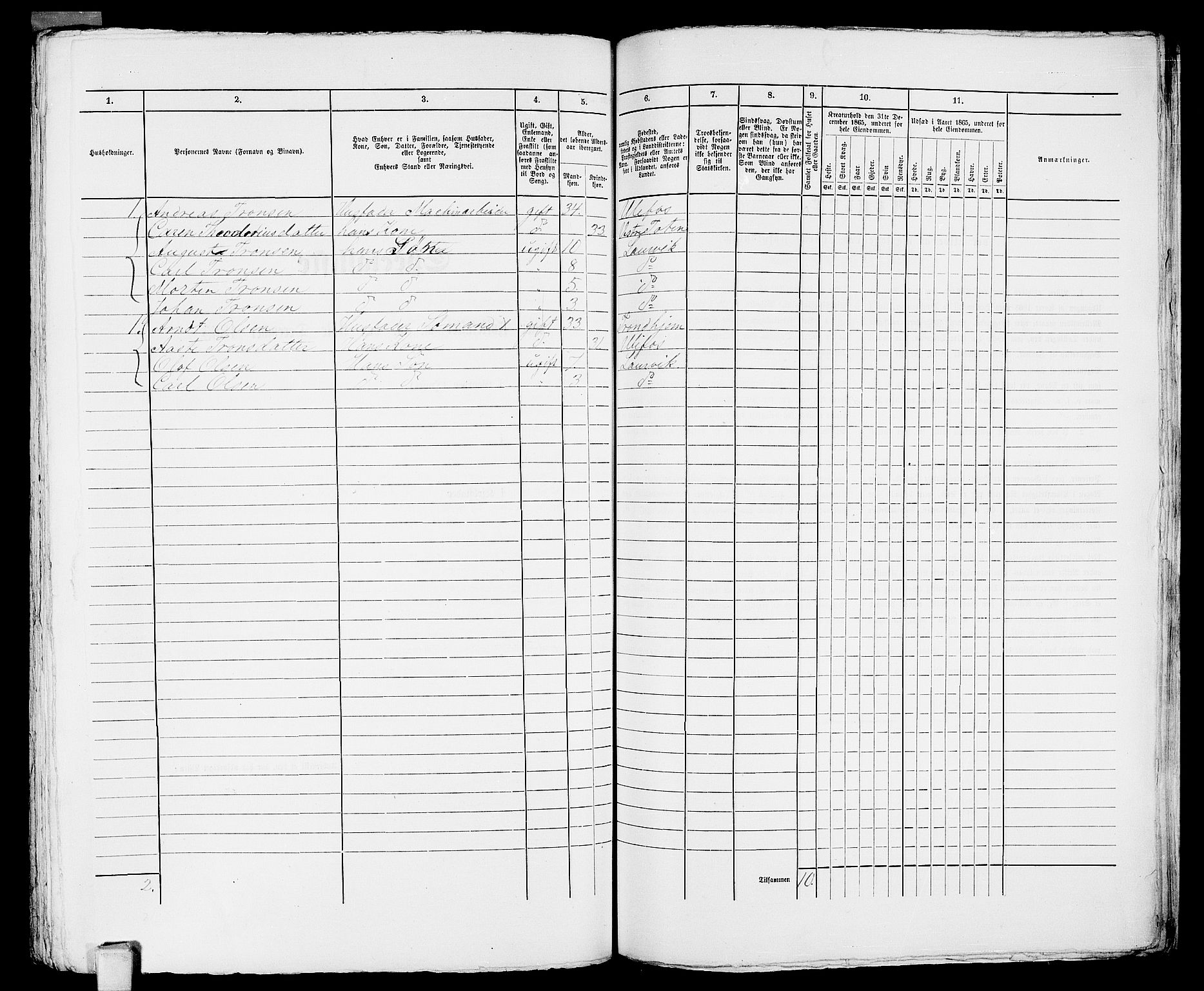 RA, 1865 census for Larvik, 1865, p. 1153