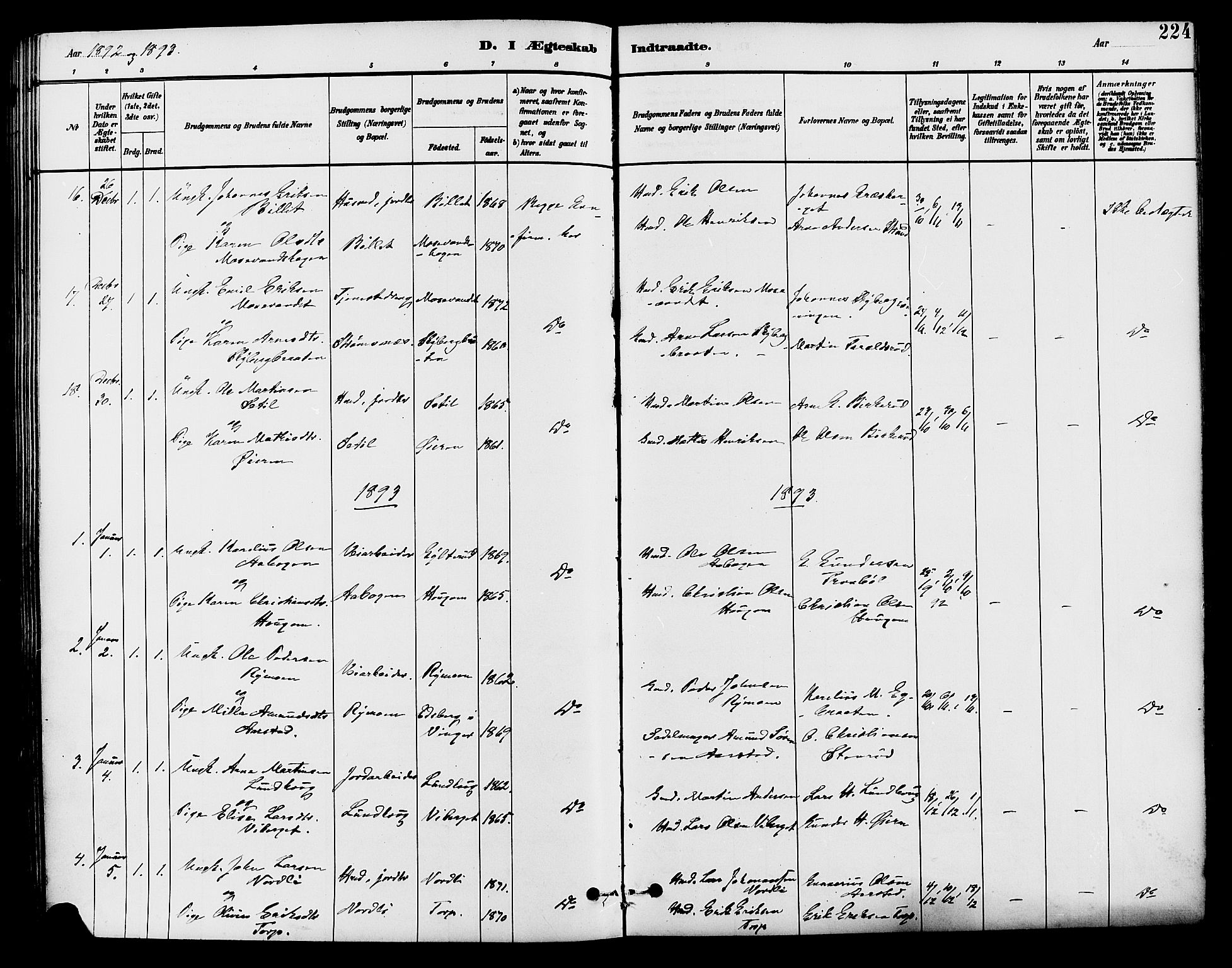 Brandval prestekontor, SAH/PREST-034/H/Ha/Haa/L0002: Parish register (official) no. 2, 1880-1894, p. 224