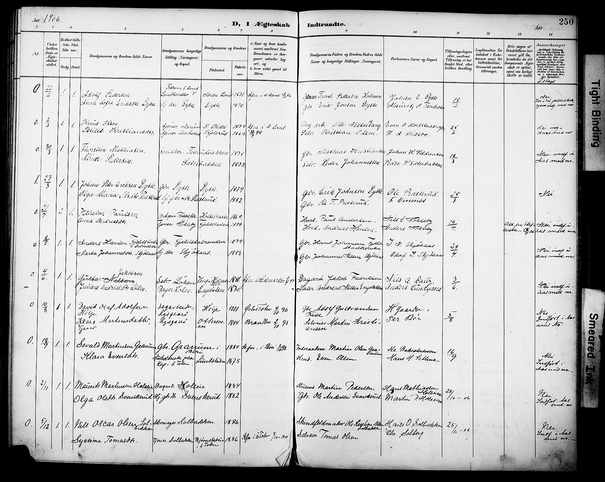 Vestre Toten prestekontor, SAH/PREST-108/H/Ha/Haa/L0013: Parish register (official) no. 13, 1895-1911, p. 250