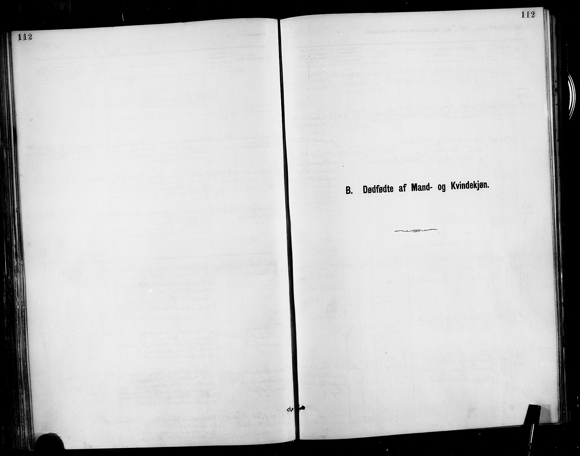 Ministerialprotokoller, klokkerbøker og fødselsregistre - Møre og Romsdal, SAT/A-1454/566/L0769: Parish register (official) no. 566A08, 1881-1903, p. 112