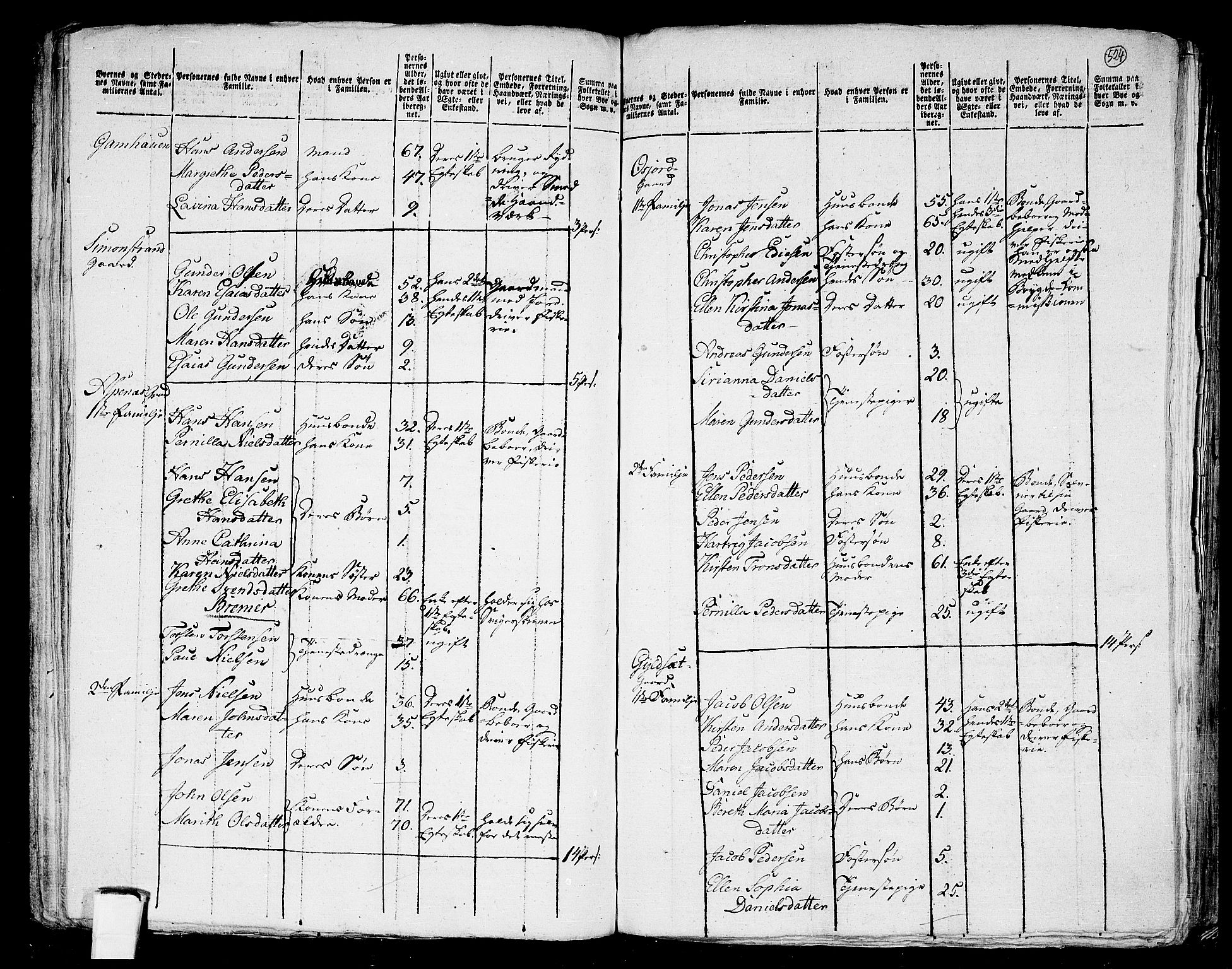 RA, 1801 census for 1848P Steigen, 1801, p. 523b-524a