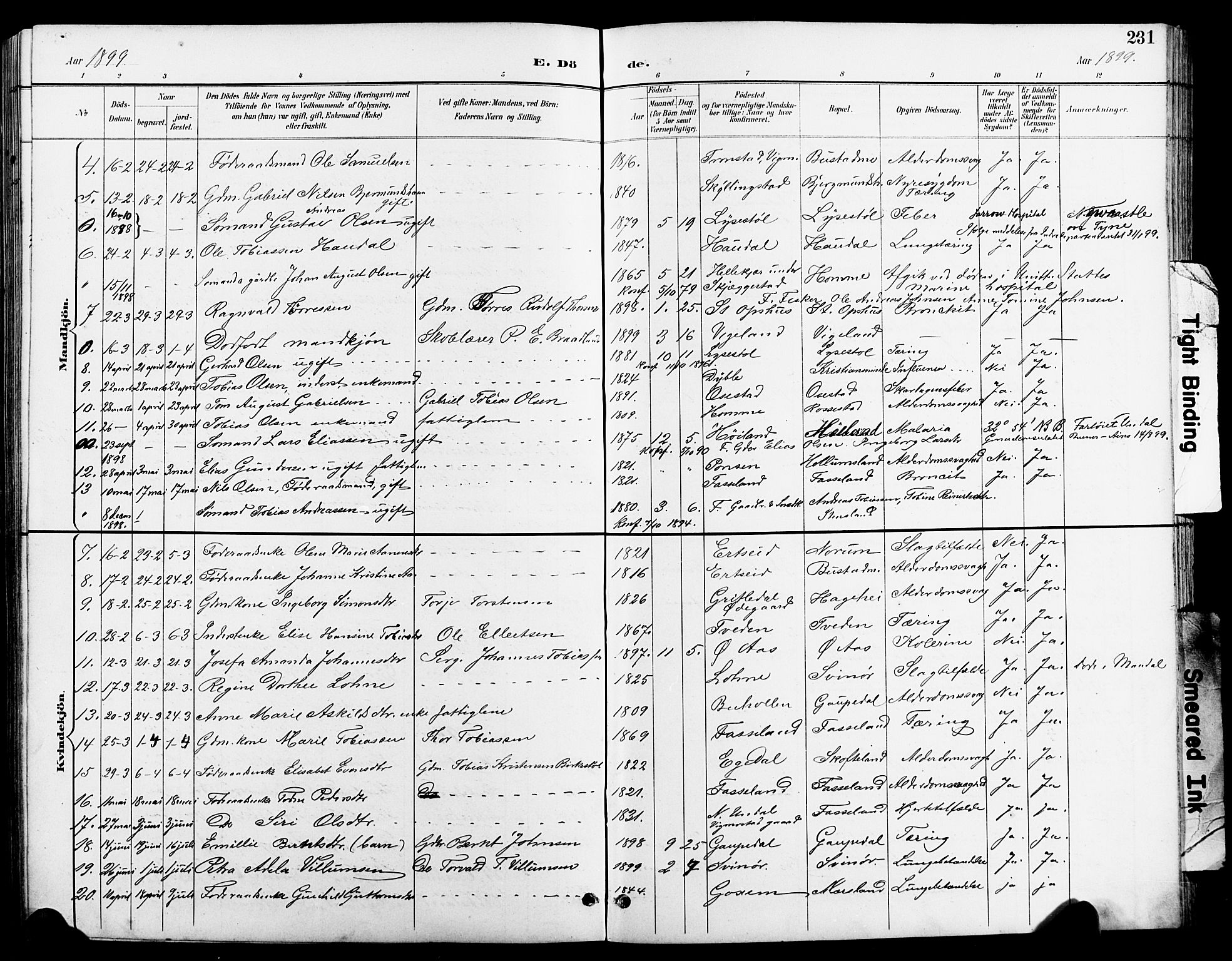 Sør-Audnedal sokneprestkontor, SAK/1111-0039/F/Fb/Fbb/L0006: Parish register (copy) no. B 6, 1893-1915, p. 231