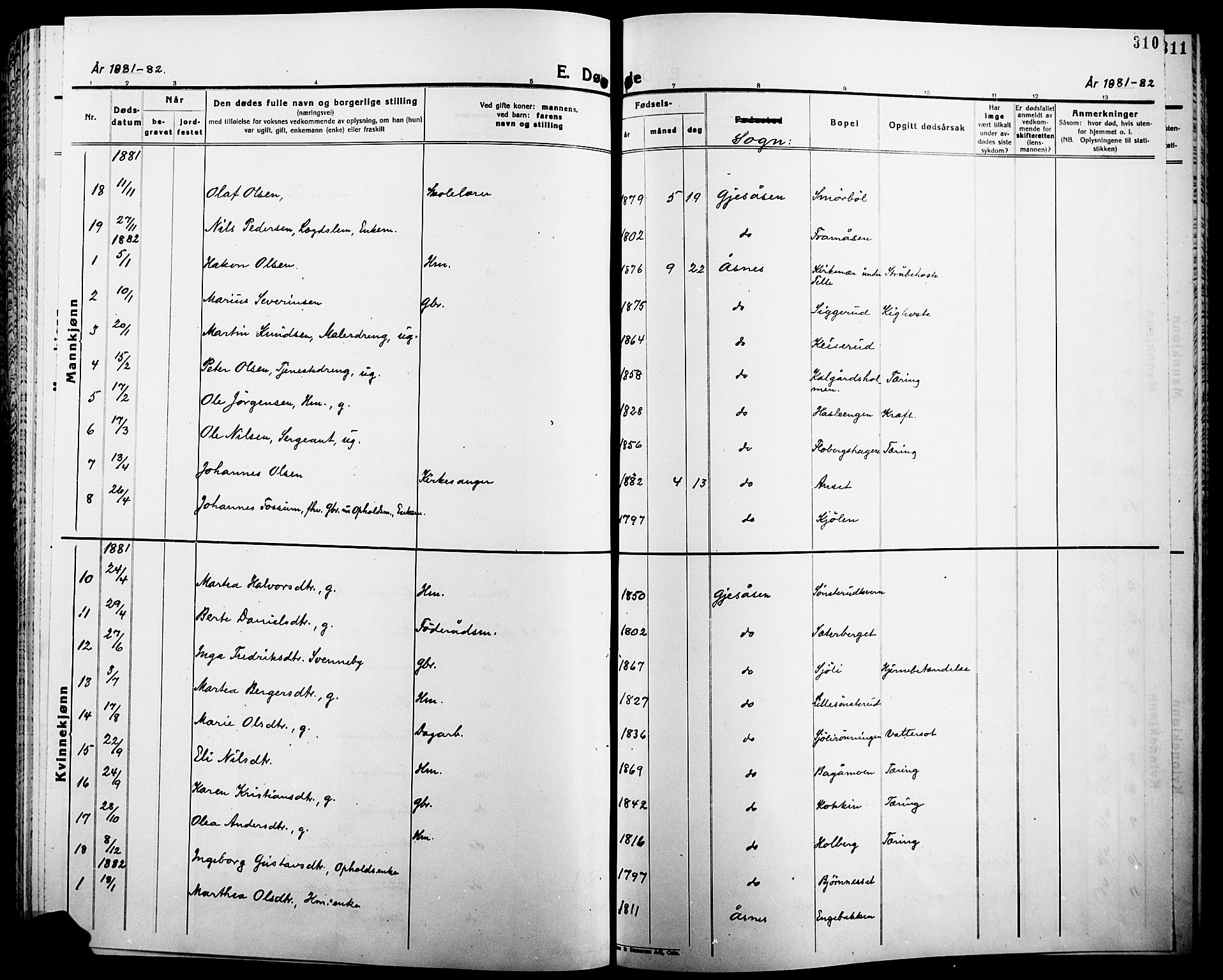 Åsnes prestekontor, AV/SAH-PREST-042/H/Ha/Haa/L0000B: Parish register (official), 1870-1889, p. 310