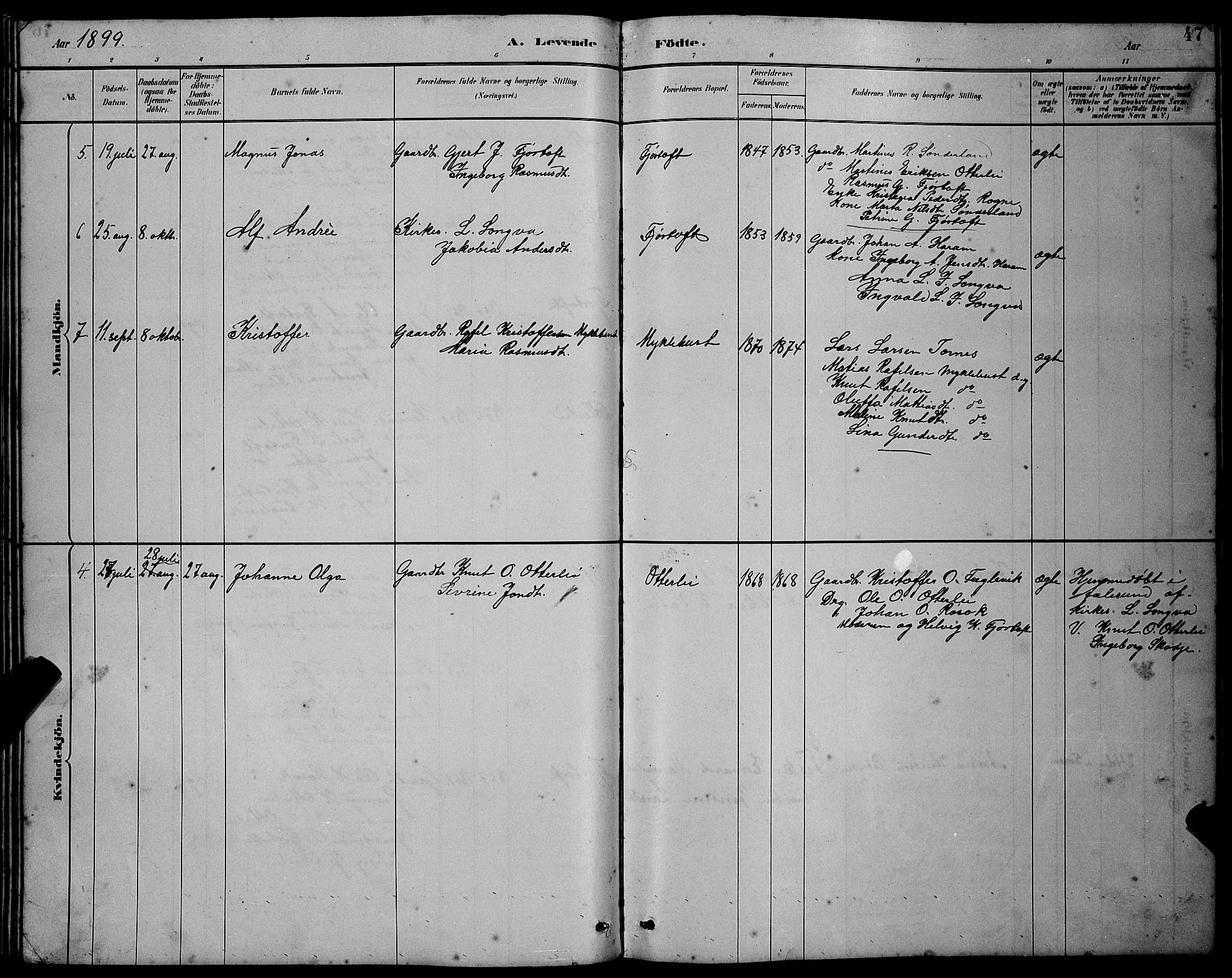 Ministerialprotokoller, klokkerbøker og fødselsregistre - Møre og Romsdal, AV/SAT-A-1454/538/L0523: Parish register (copy) no. 538C01, 1881-1900, p. 47