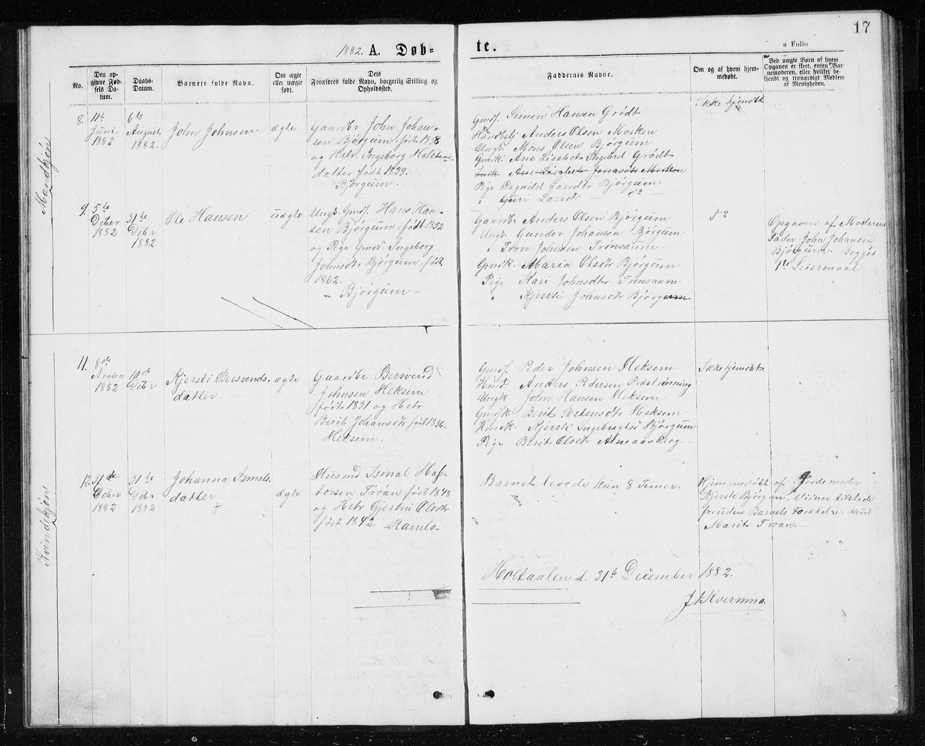 Ministerialprotokoller, klokkerbøker og fødselsregistre - Sør-Trøndelag, SAT/A-1456/685/L0977: Parish register (copy) no. 685C02, 1879-1890, p. 17