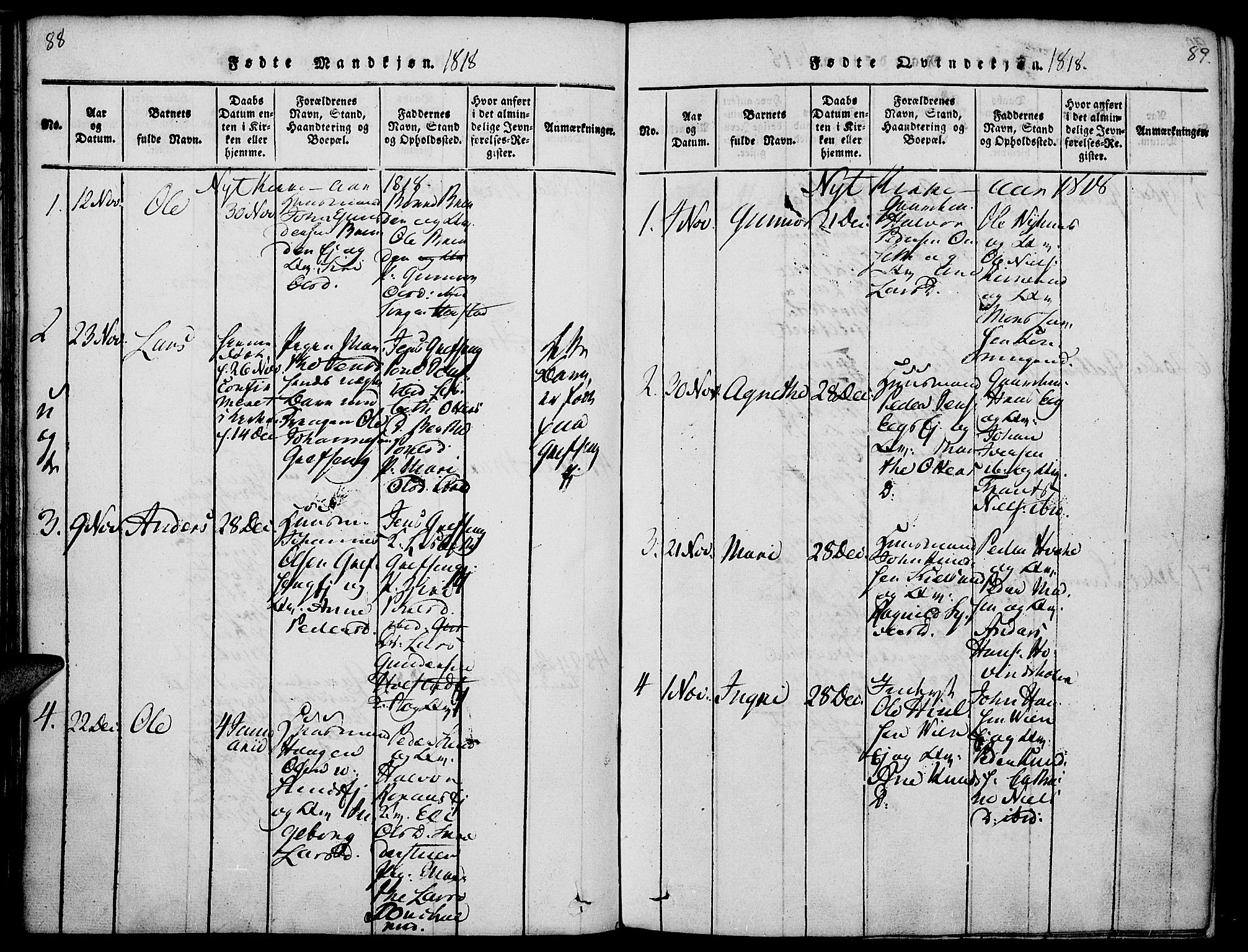 Nes prestekontor, Hedmark, AV/SAH-PREST-020/K/Ka/L0002: Parish register (official) no. 2, 1813-1827, p. 88-89