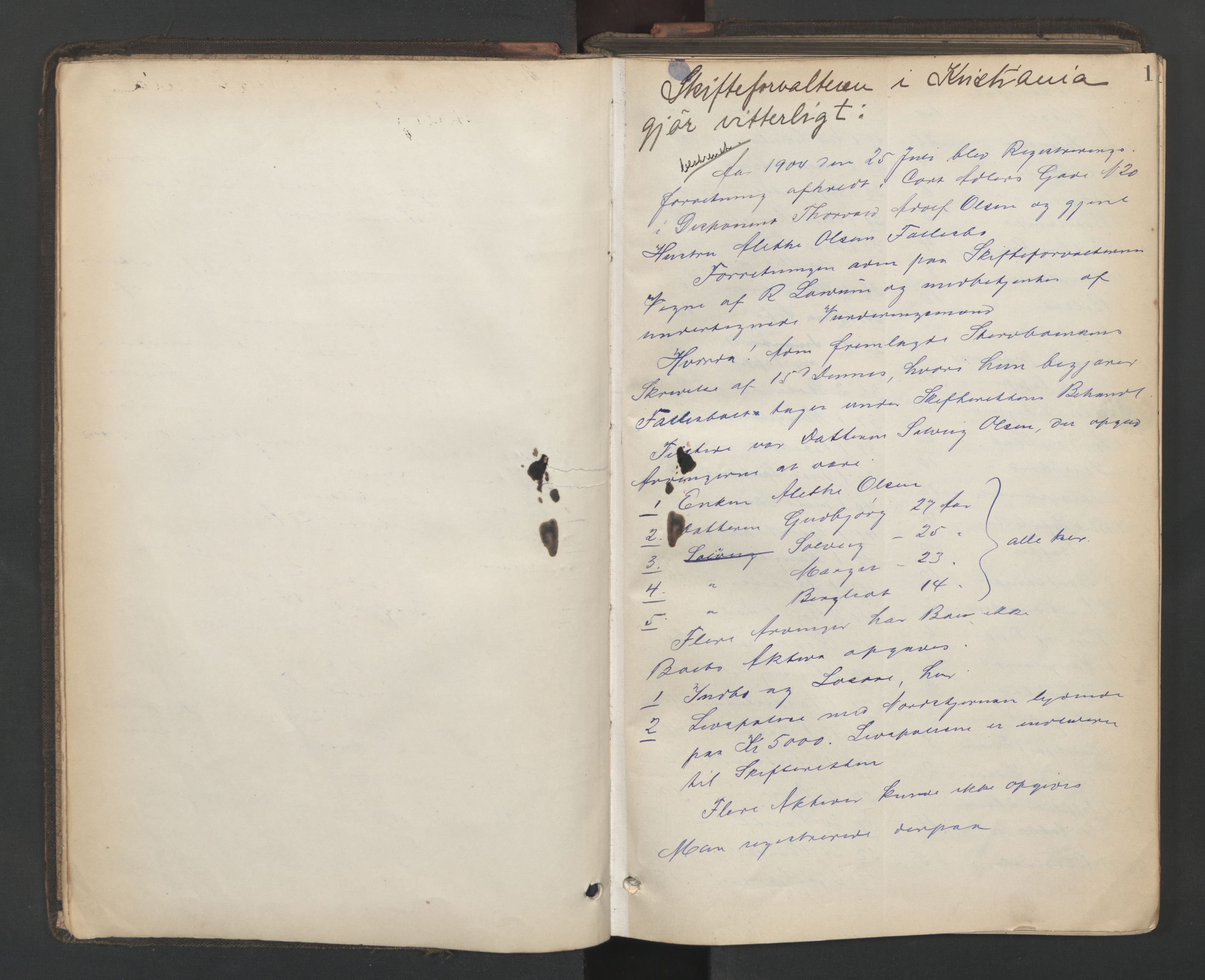 Oslo skifterett, AV/SAO-A-10383/H/Hb/Hbd/L0005: Skifteregistreringsprotokoll, 1904-1909, p. 0b-1a