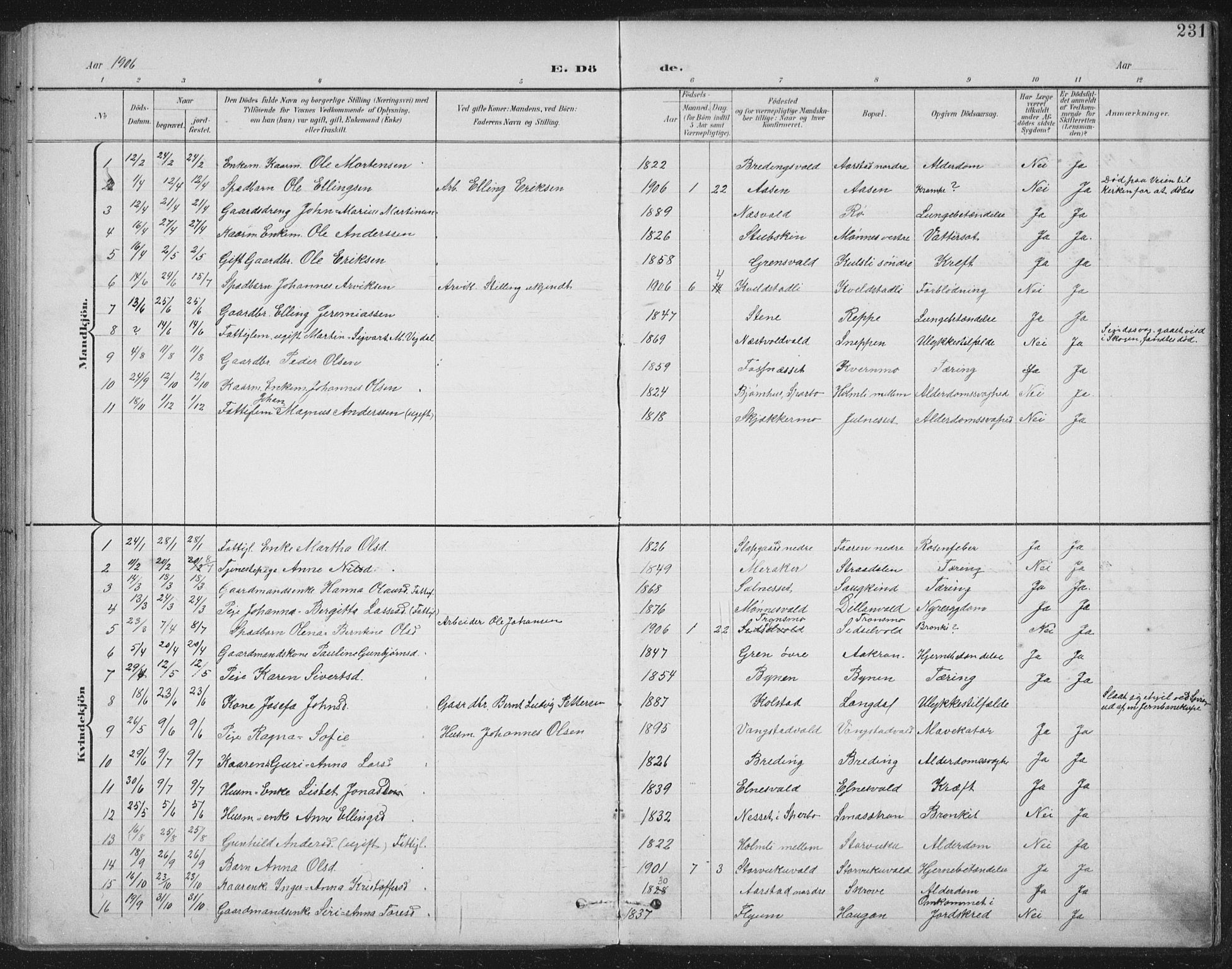 Ministerialprotokoller, klokkerbøker og fødselsregistre - Nord-Trøndelag, SAT/A-1458/724/L0269: Parish register (copy) no. 724C05, 1899-1920, p. 231