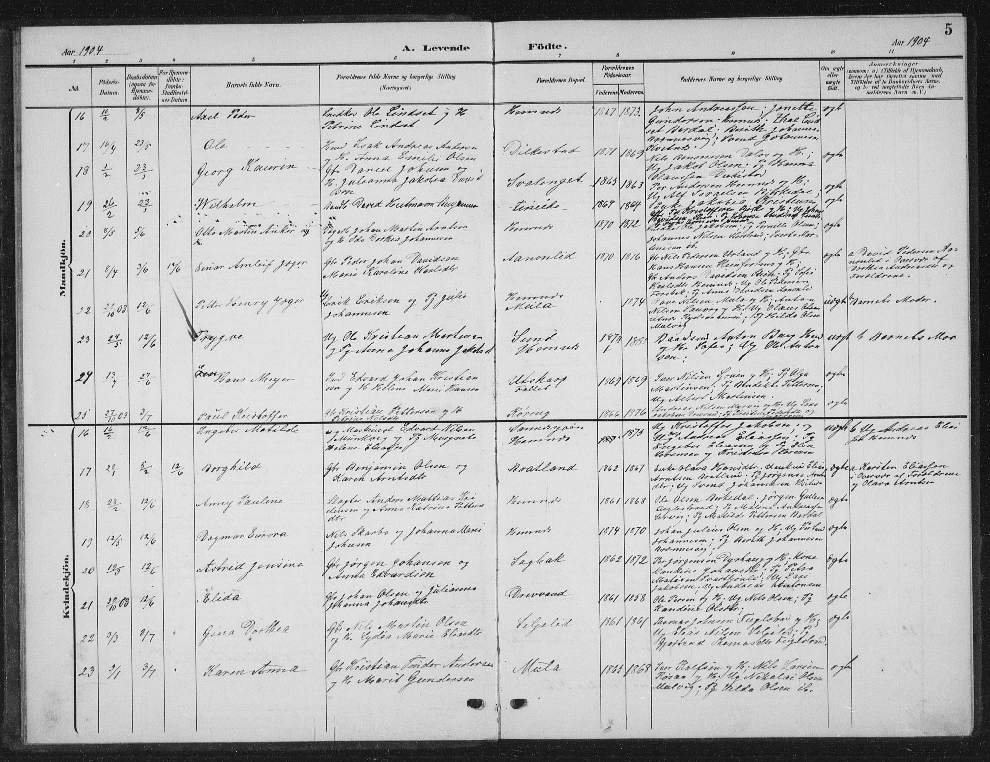 Ministerialprotokoller, klokkerbøker og fødselsregistre - Nordland, AV/SAT-A-1459/825/L0370: Parish register (copy) no. 825C07, 1903-1923, p. 5